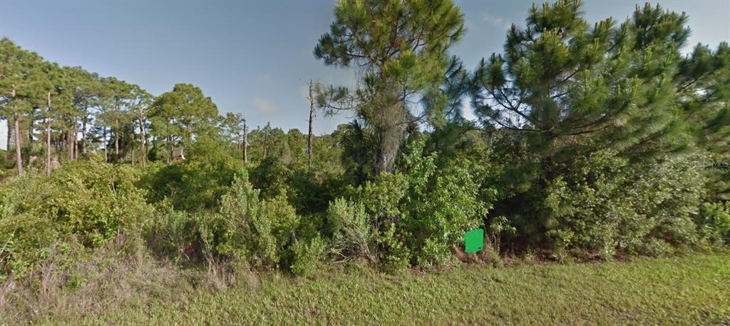 What a great time to build your dream home in a great location. The residents of Gulf Cove have the privilege of having one of the few private boat ramp facilities left in Port Charlotte. This is a great area for families who want to live the Florida Lifestyle. Great for Boating.


*Buyer is responsible for performing all due diligence including, but not limited to, availability of utilities, scrub-jay, wetlands, and tortoise restrictions and lot dimensions.*