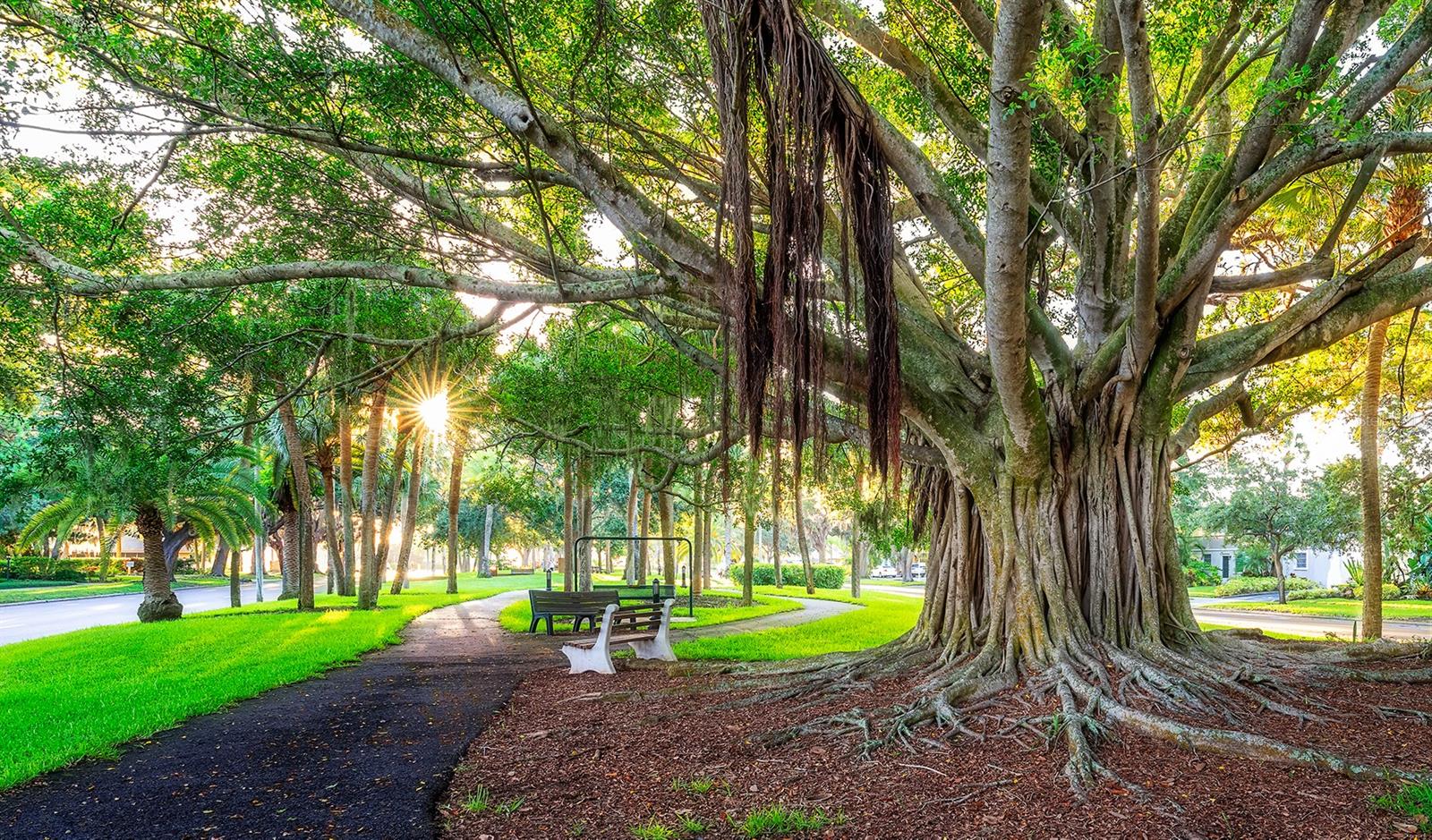 VENICE GARDENS - Residential