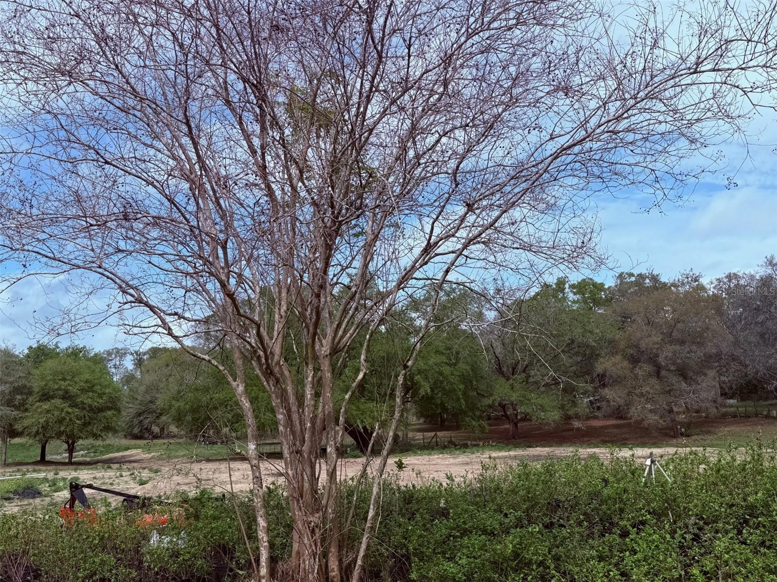 ACREAGE - Land