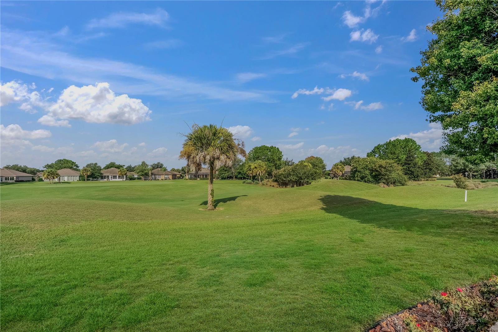 STONE CREEK BY DEL WEBB-BUCKHEAD - Residential