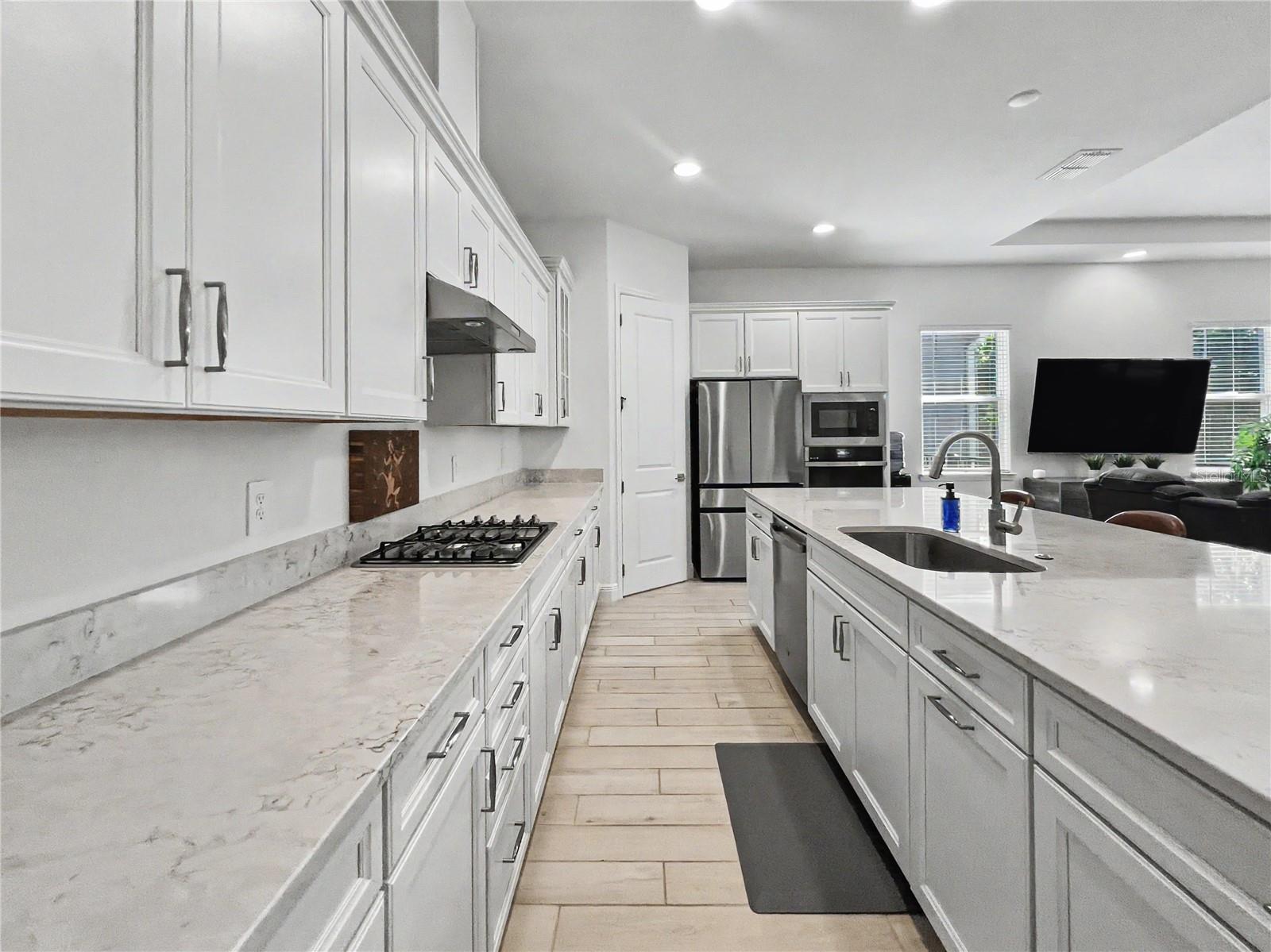 FOUR SEASONS AT ORLANDO PH 3C & 3D - Residential