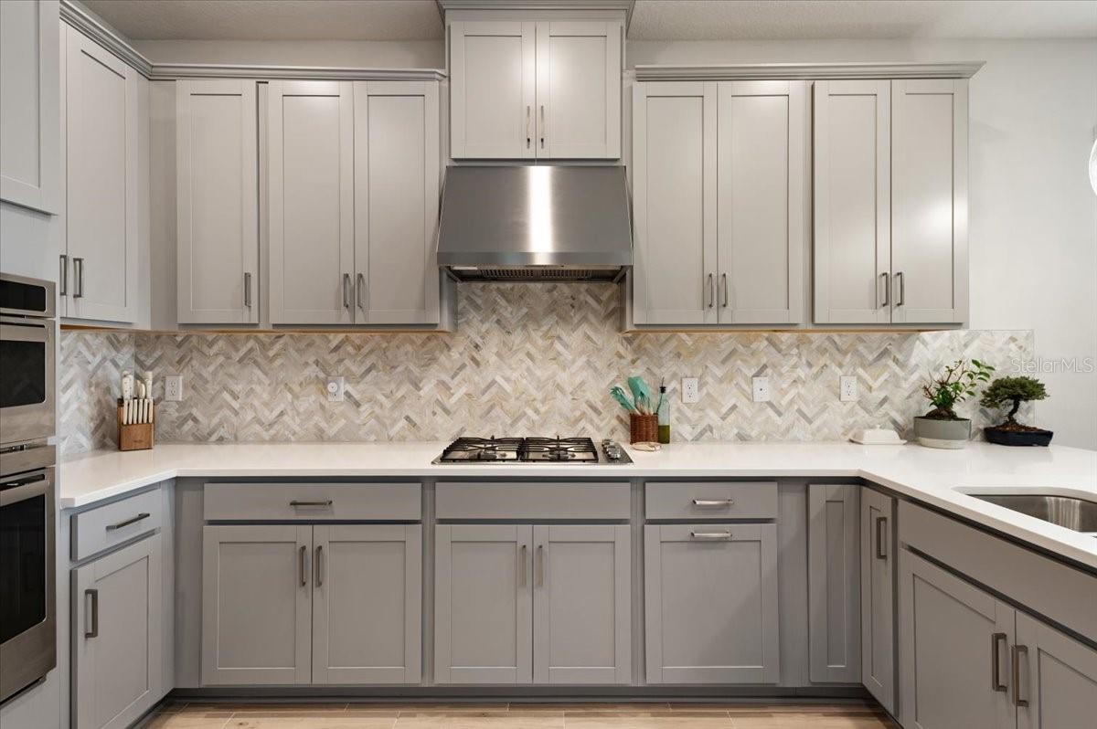 SKYE RANCH NBRHD 2 - Residential
