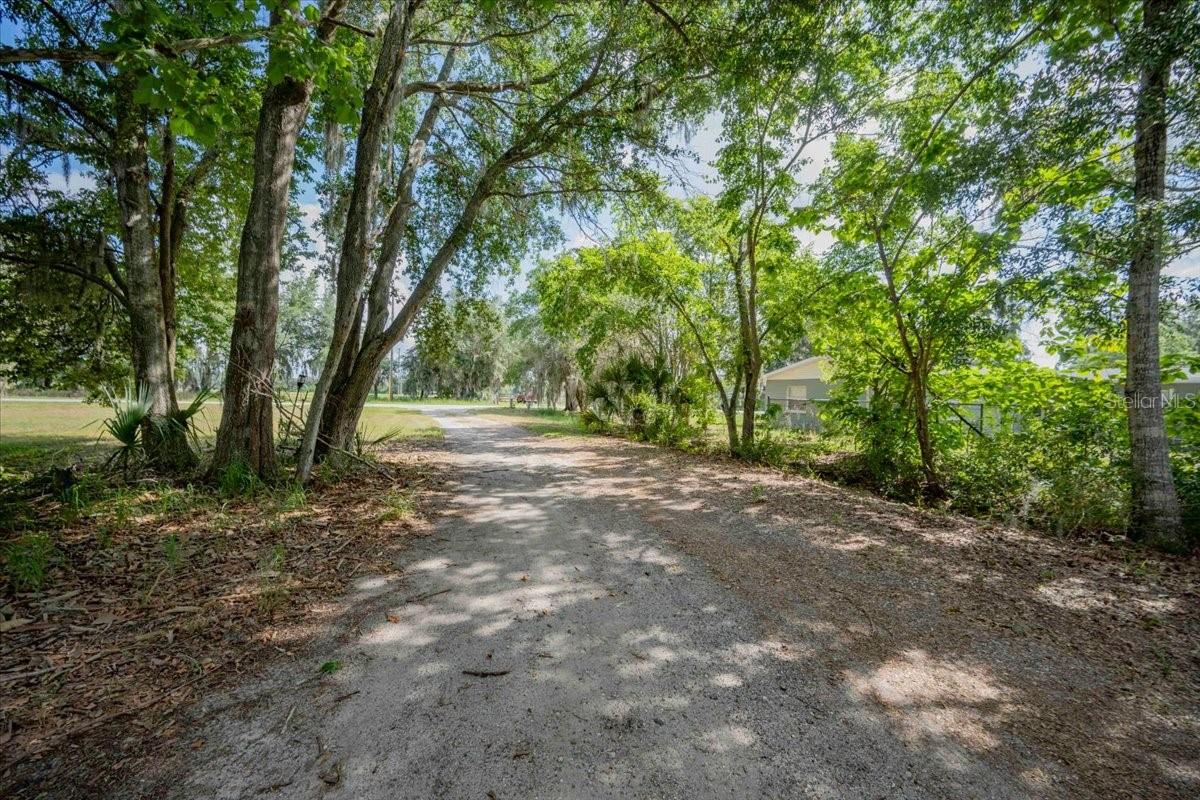 BANANA FARM ACRES - Residential