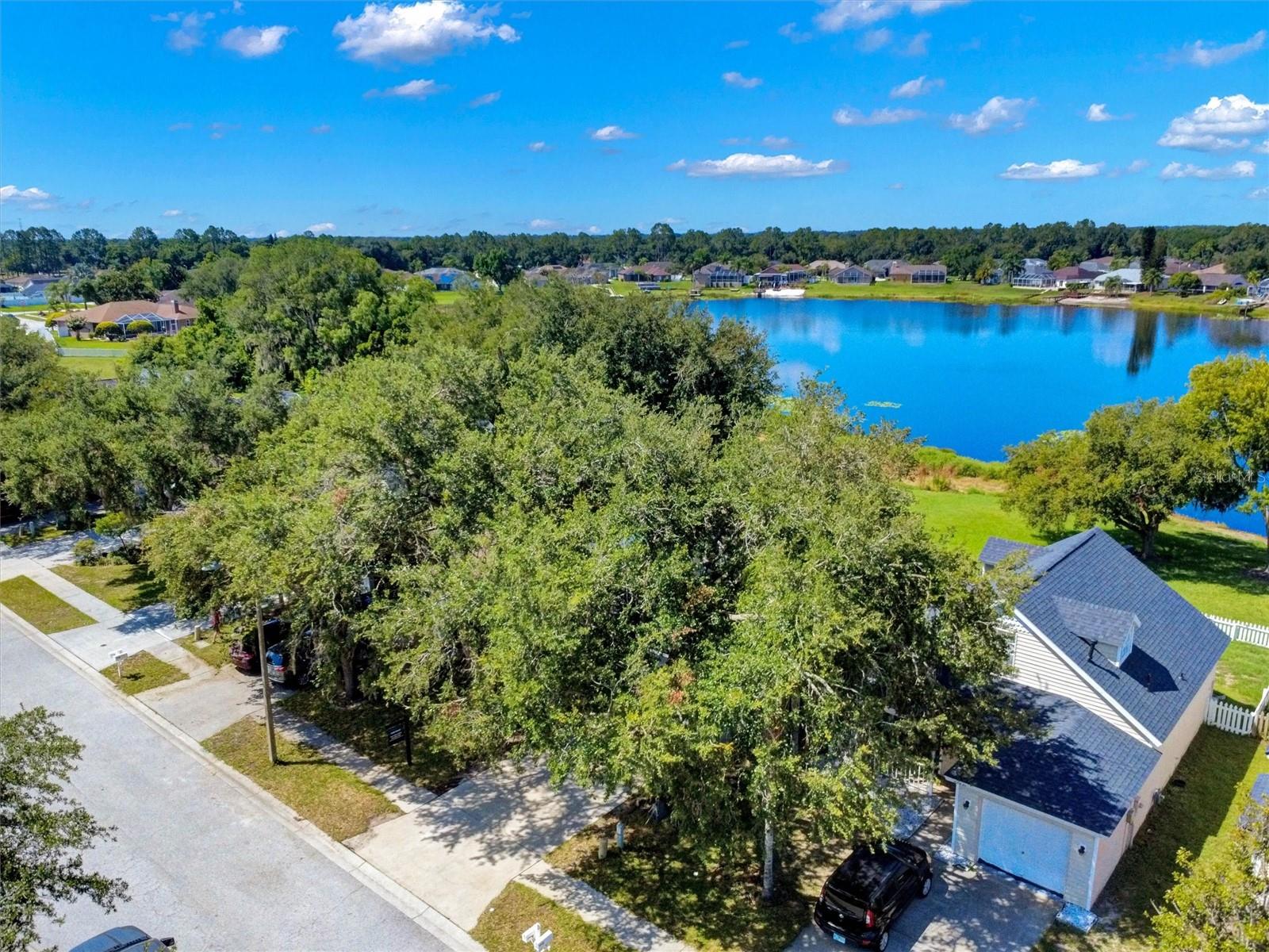 WILLOW BEND TR MF02 - Residential
