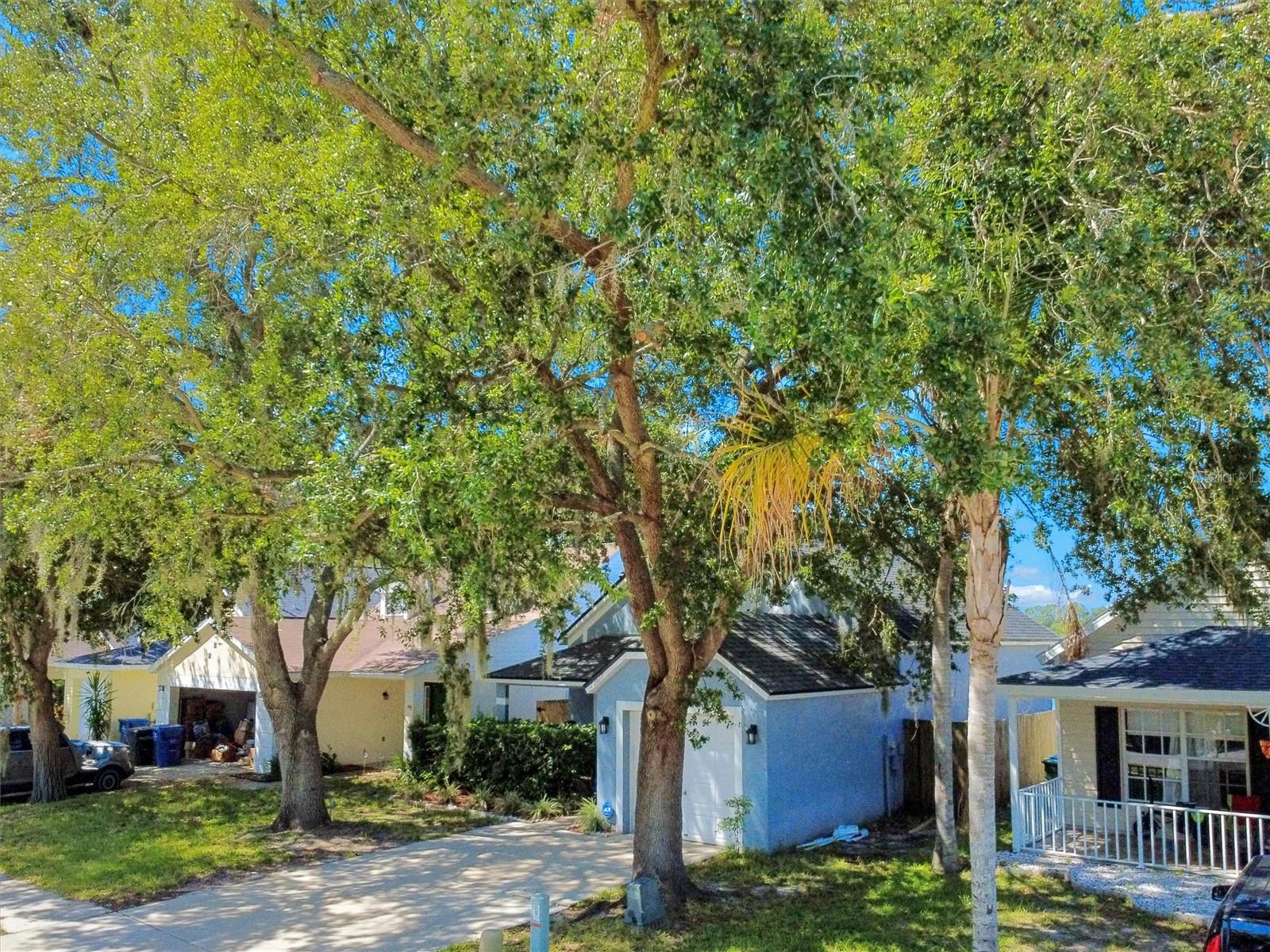 WILLOW BEND TR MF02 - Residential