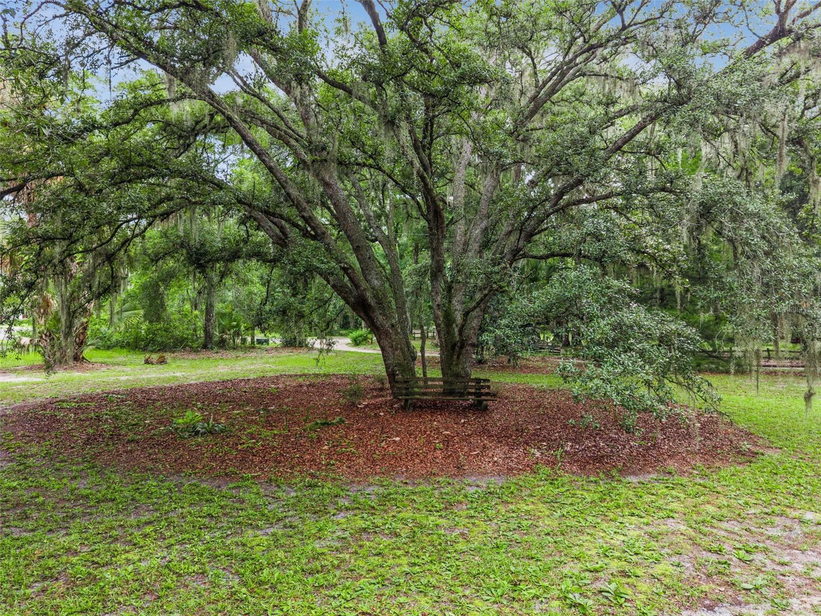 NO SUBDIVISION - Residential