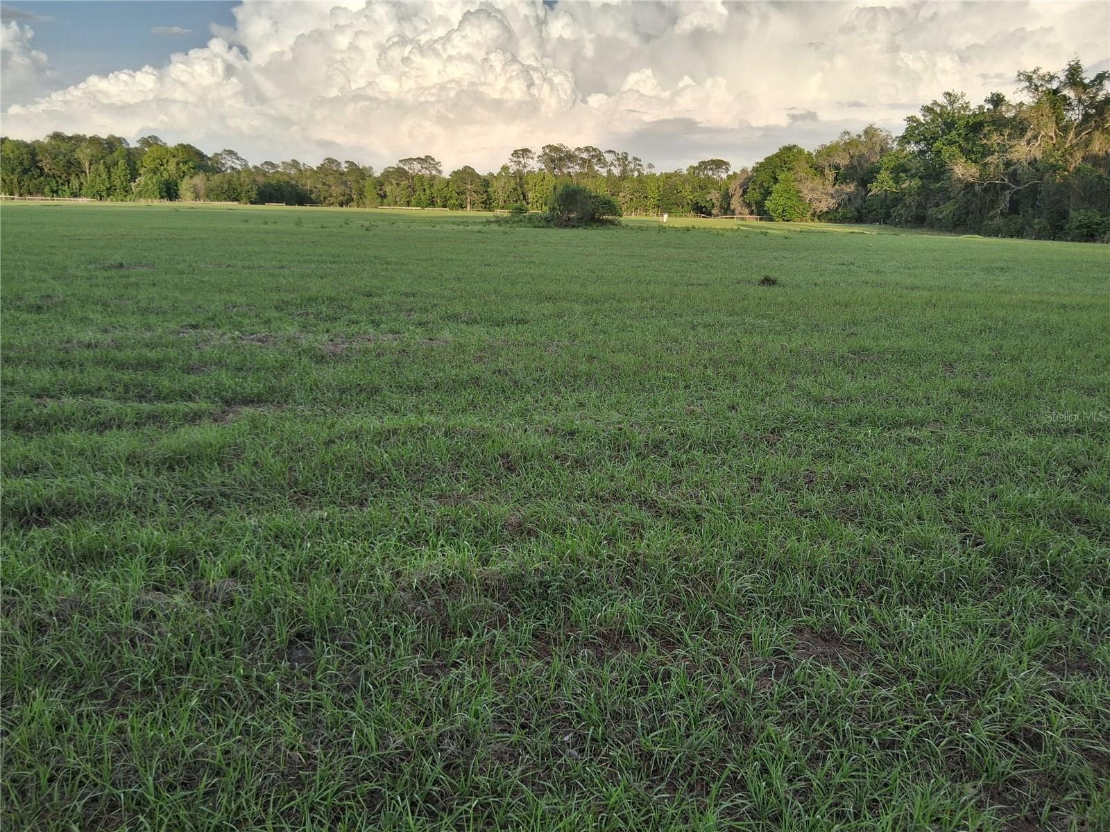 Incredible opportunity waiting just for you!  Prime, cleared, high and dry 10+ acres with power pole and well (not connected), in Flood Zone    
X on a paved road zoned Agricultural providing a tax savings and lots of potential, maybe a family estate, farm, or a long-term investment.  The property is partially fenced with a 60 foot wide easement to the property from NE 12th Avenue and backs up to approximately 65 acres owned by the State of Florida Water Management District.  Easy access to I-75, the Florida Turnpike, and just a few miles South of The Villages.