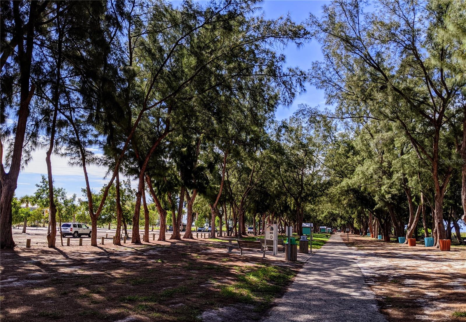 BAYSHORE ON THE LAKE APTS II SEC 1 - Residential