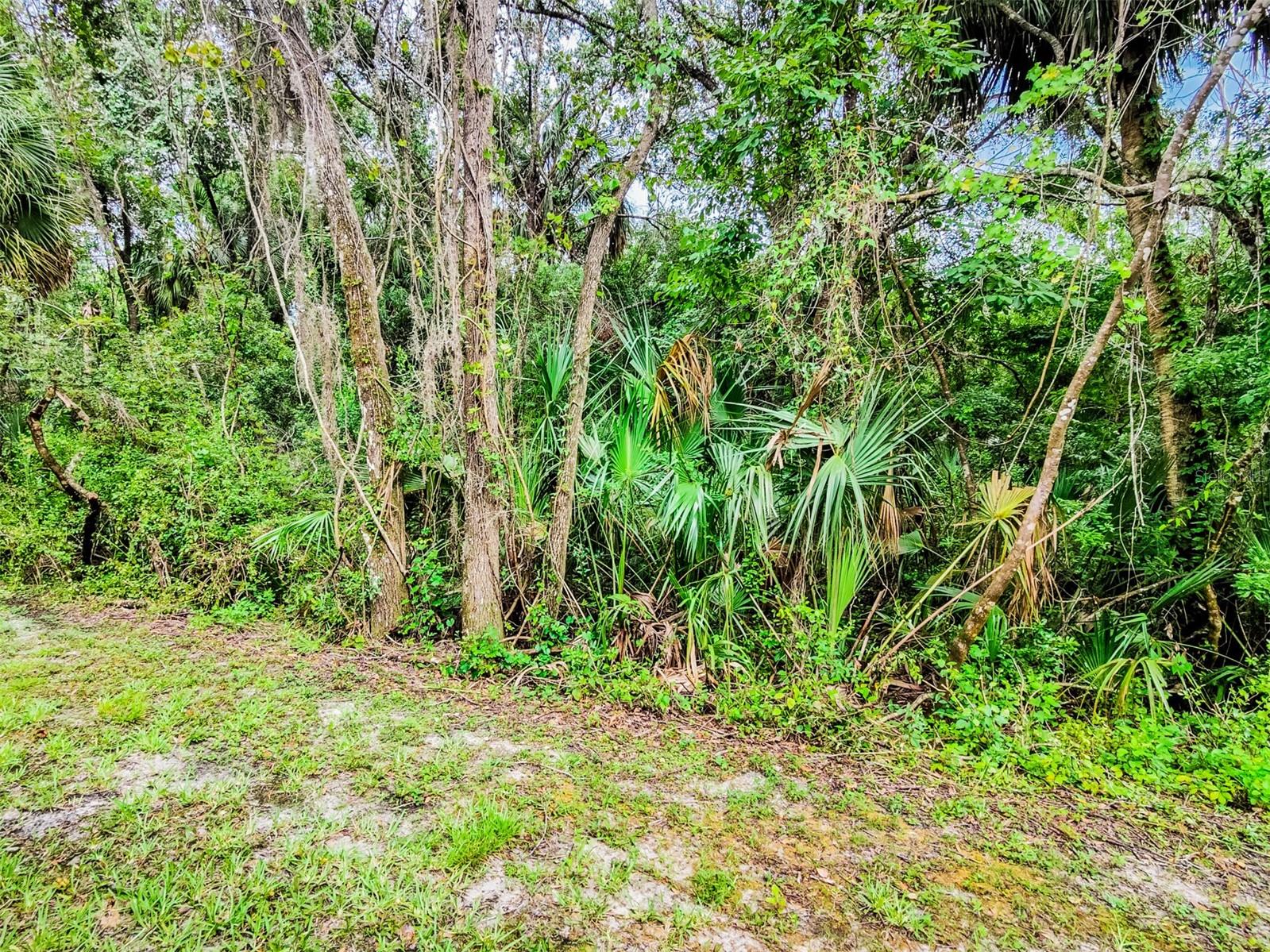 EMERALD POINTE TWNHMS AT TA - Residential