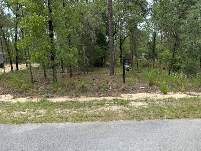 This could be your new lot in Rainbow Lakes Estates