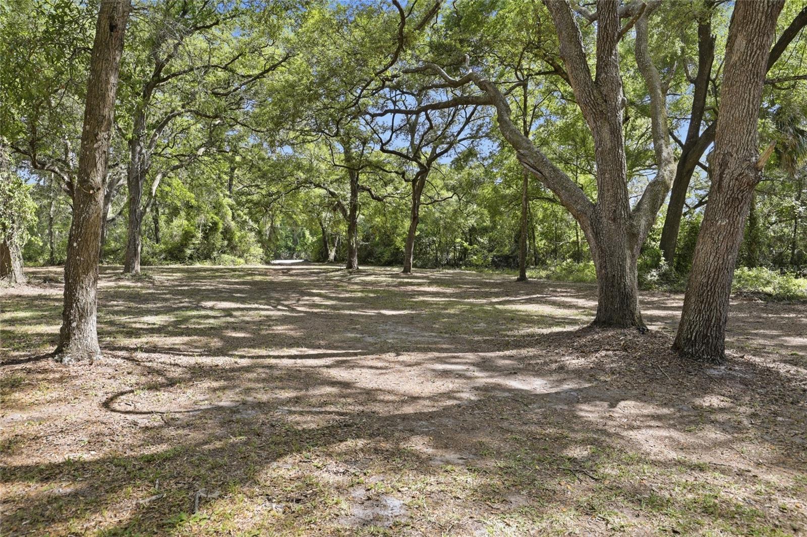 CORTEZ ACRES - Residential