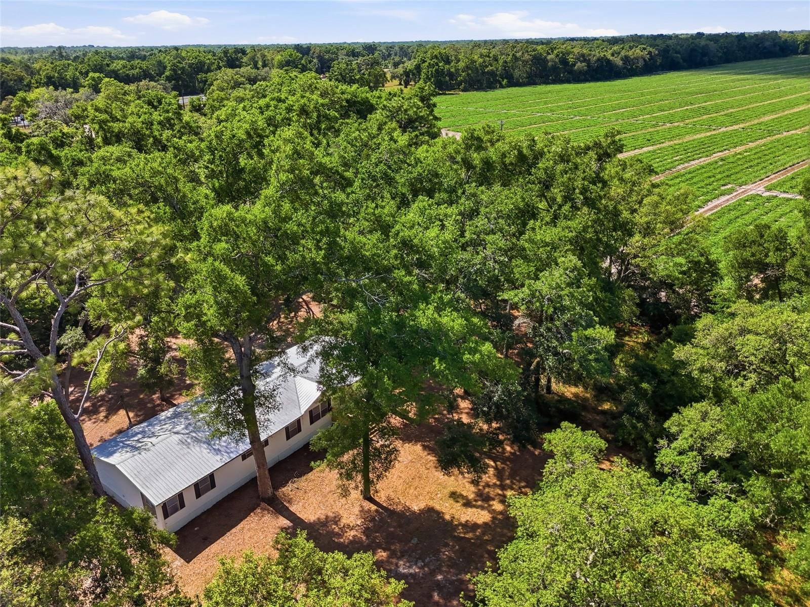 CORTEZ ACRES - Residential