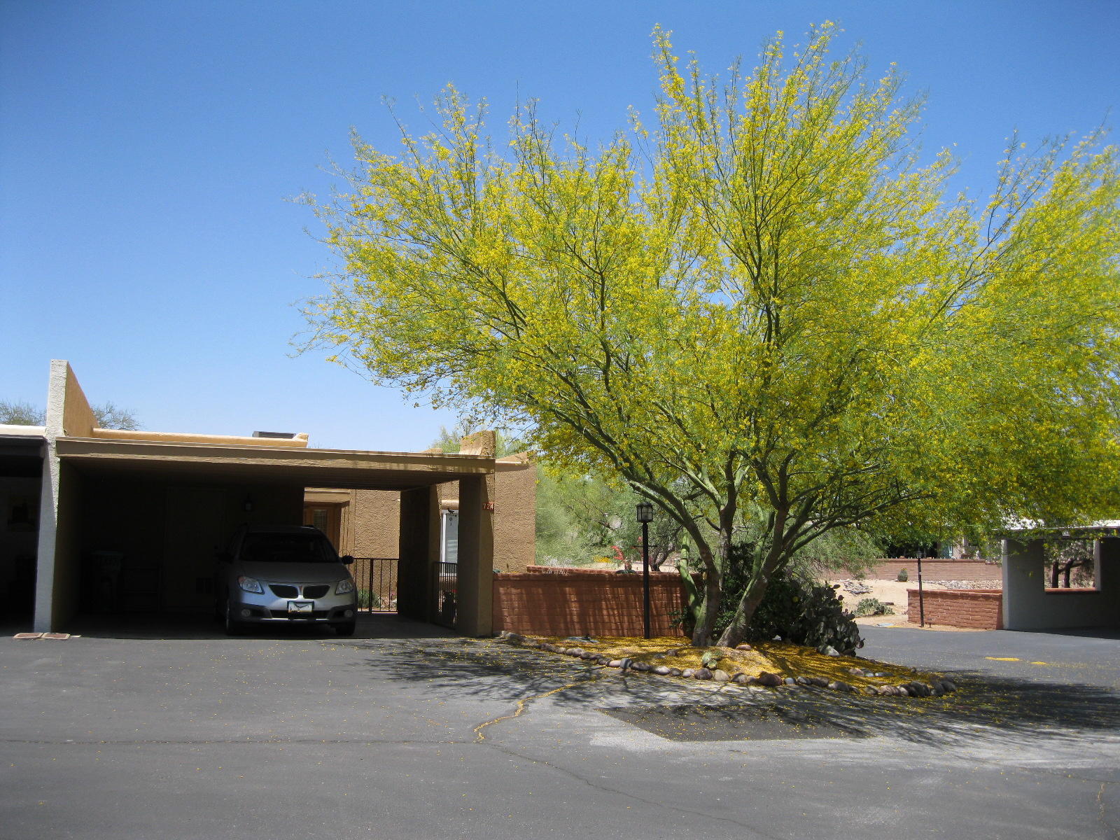 Enjoy the quiet setting that backs up to the beautiful desert landscape. You also have a front courtyard patio with a mountain view.    This, all tile, townhome is light and bright with 4 skylights.  Popcorn ceilings removed. Spacious master bedroom with an office niche.  New heat pump in November, 2016, a 30-year roof coating done in April, 2019 and new 7-year exterior paint completed in March, 2020. Community has clubs/activities including tennis, pickle ball, library, art cove and pot lucks.