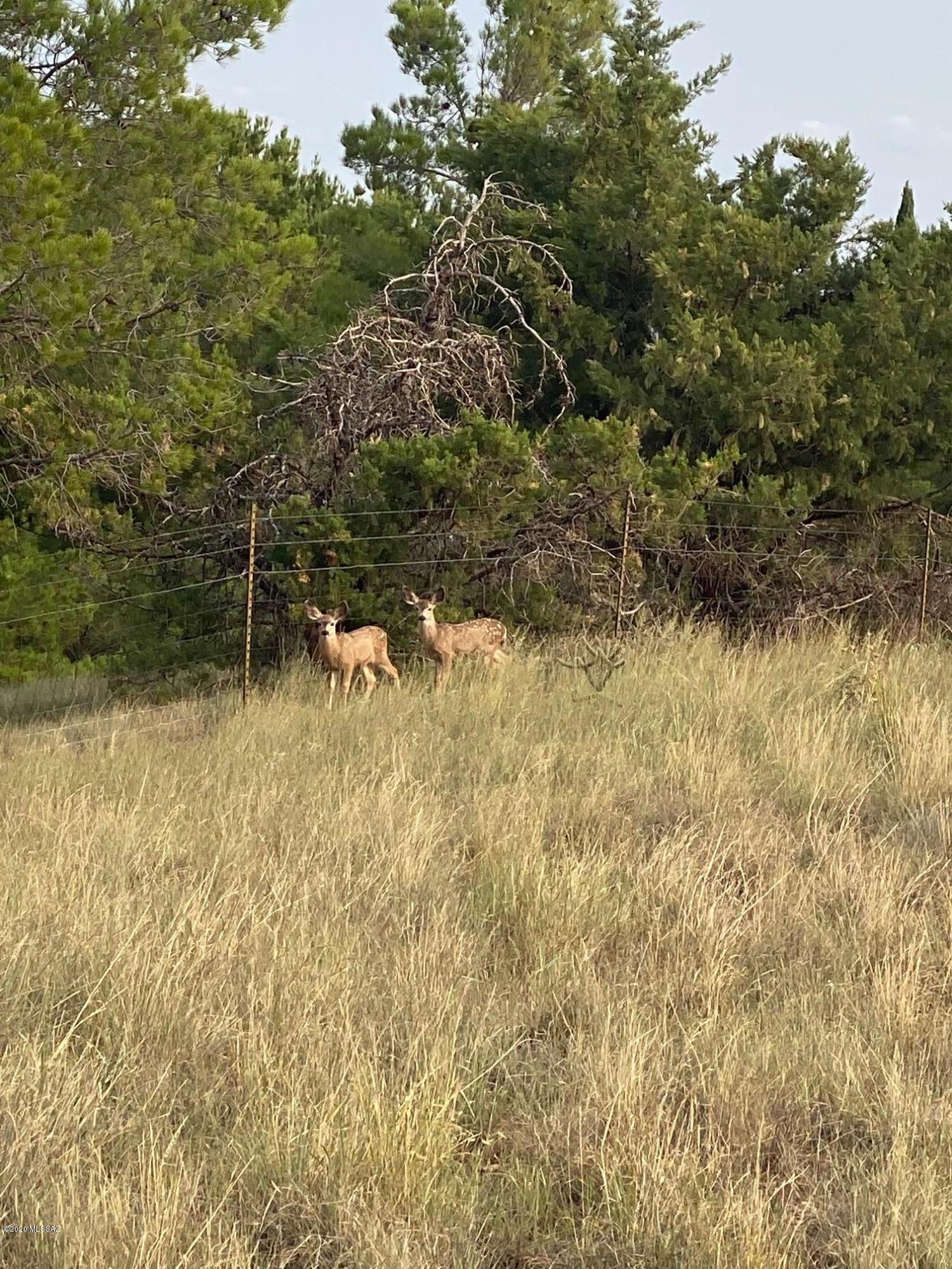 Sonoita Estates (1-18) - Land