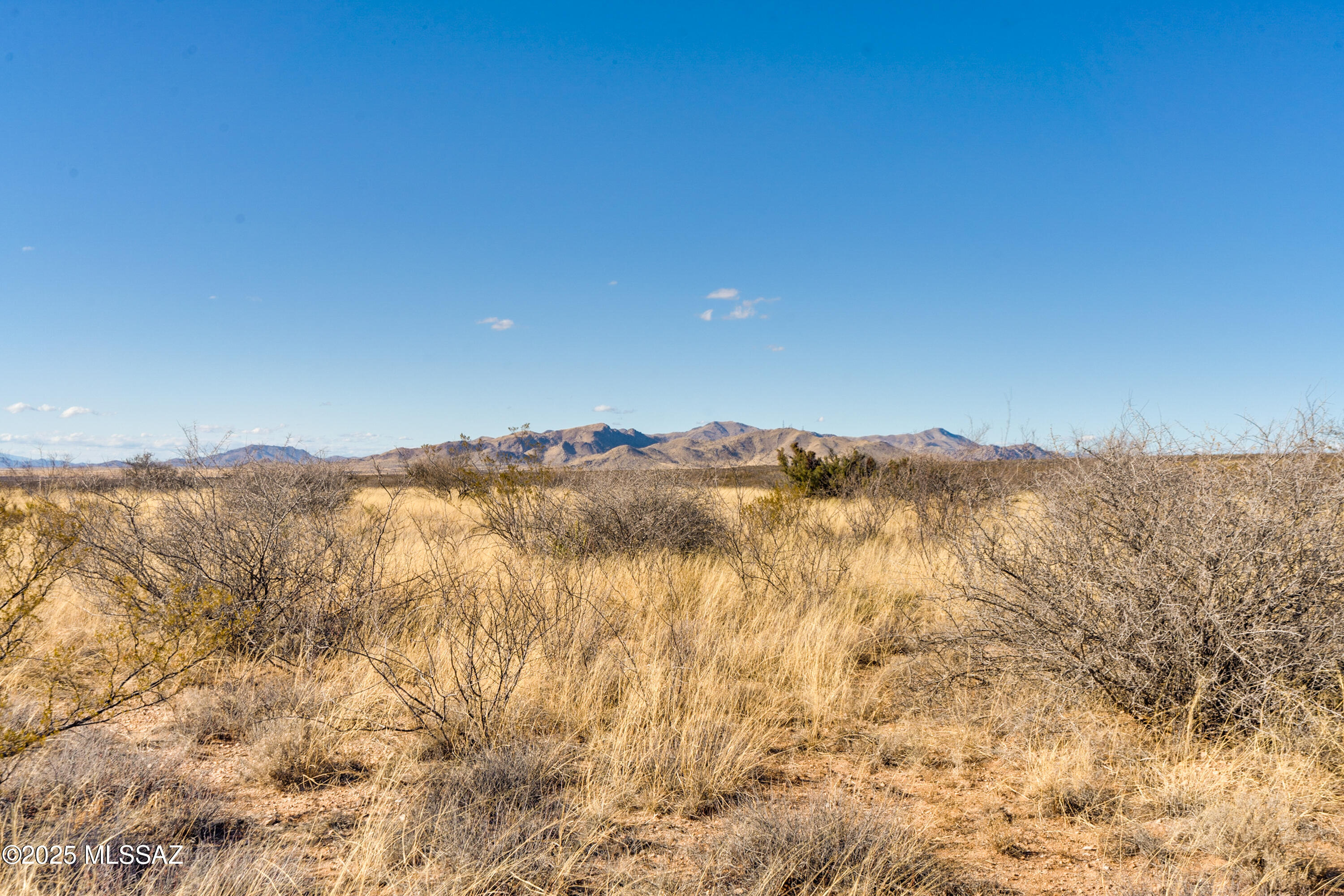 Dragoon Mountain Ranch - Land