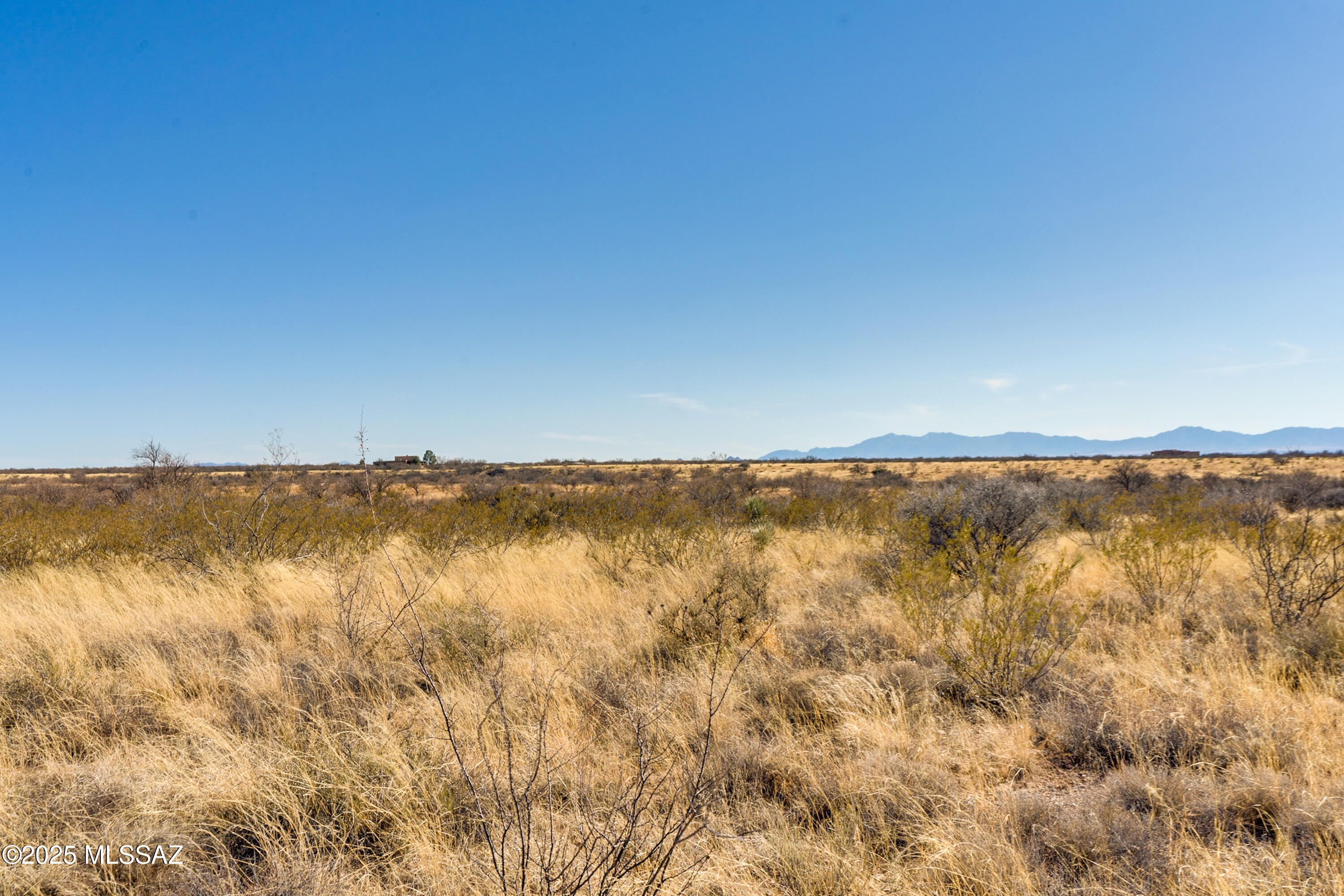 Dragoon Mountain Ranch - Land