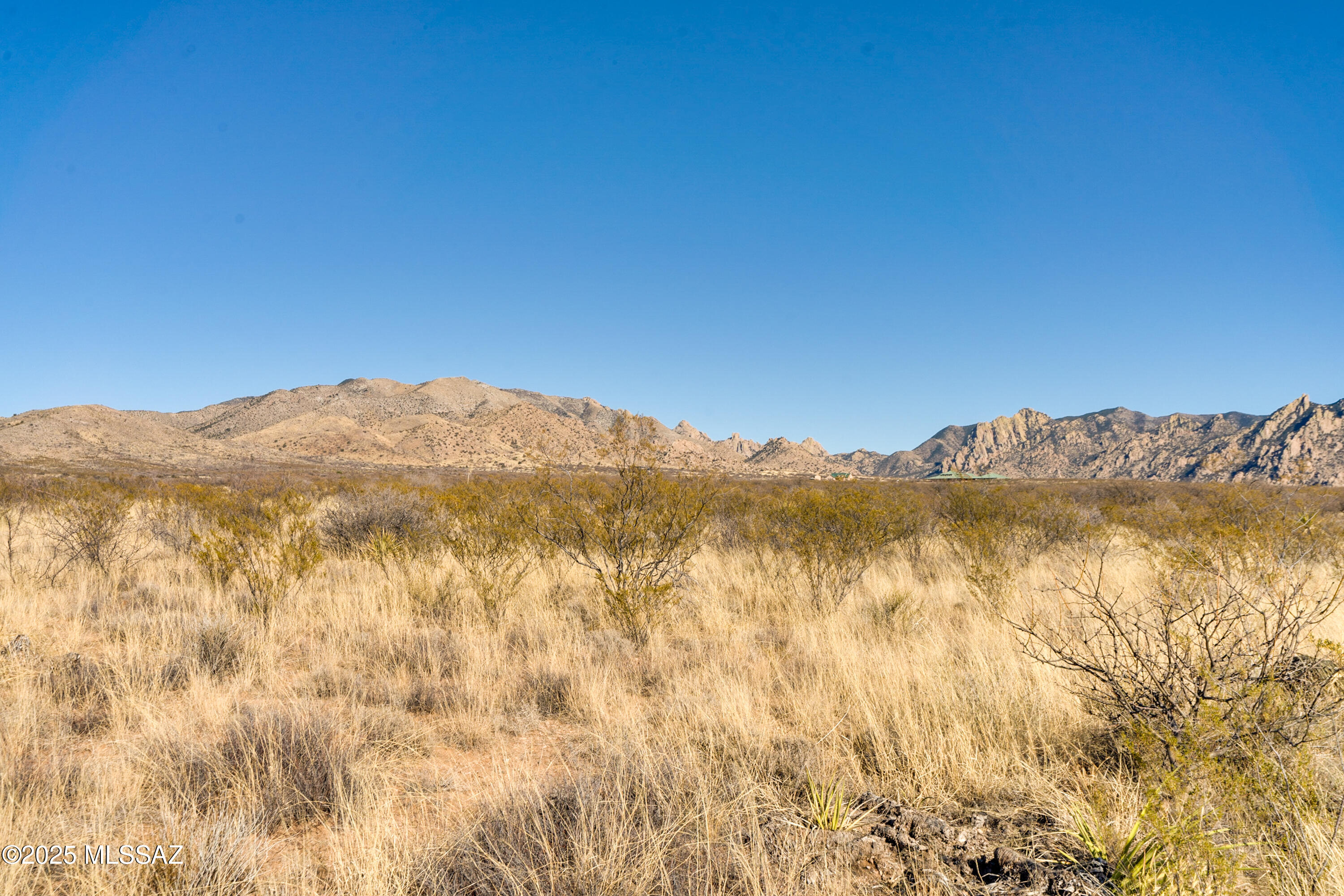 Dragoon Mountain Ranch - Land