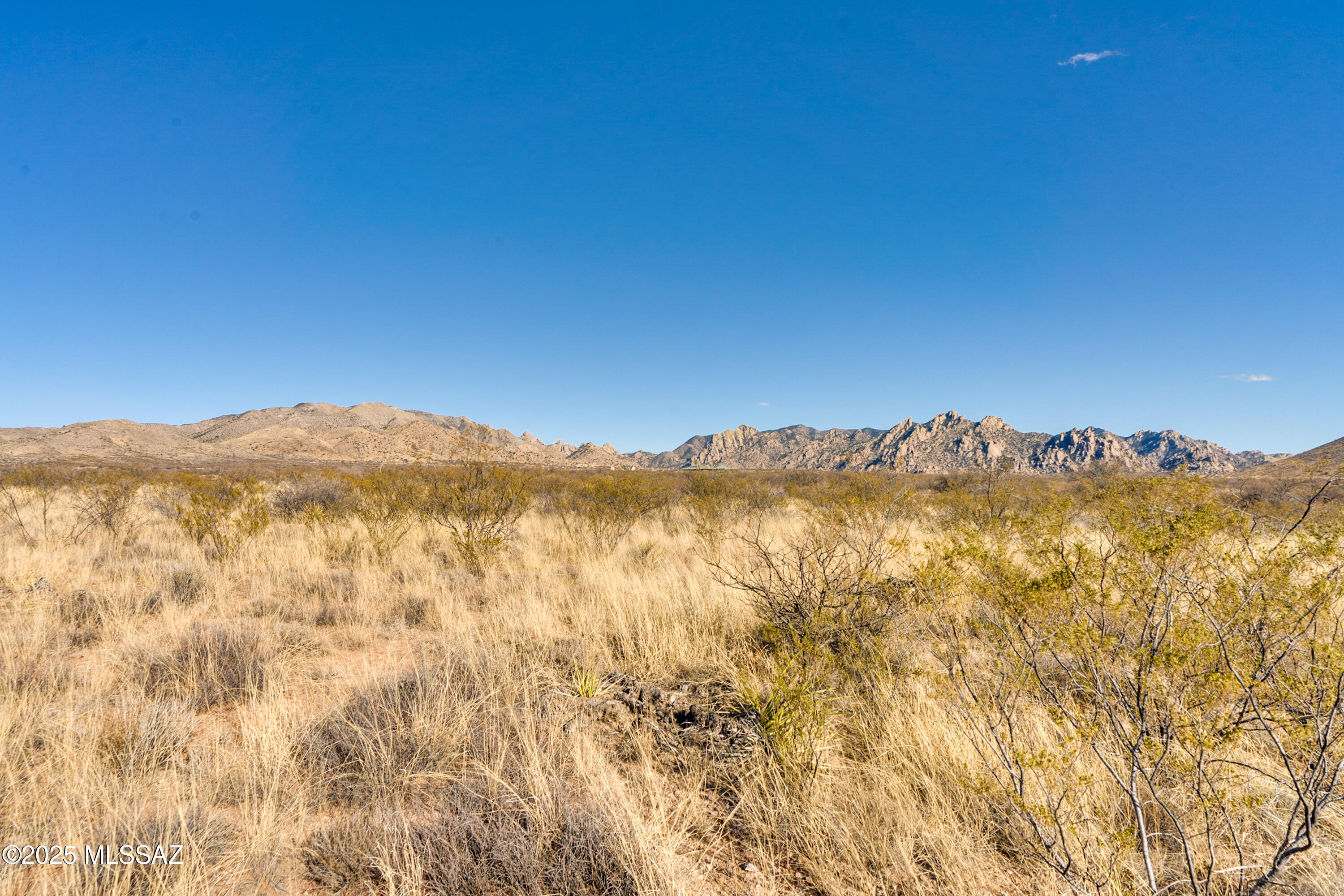 Dragoon Mountain Ranch - Land