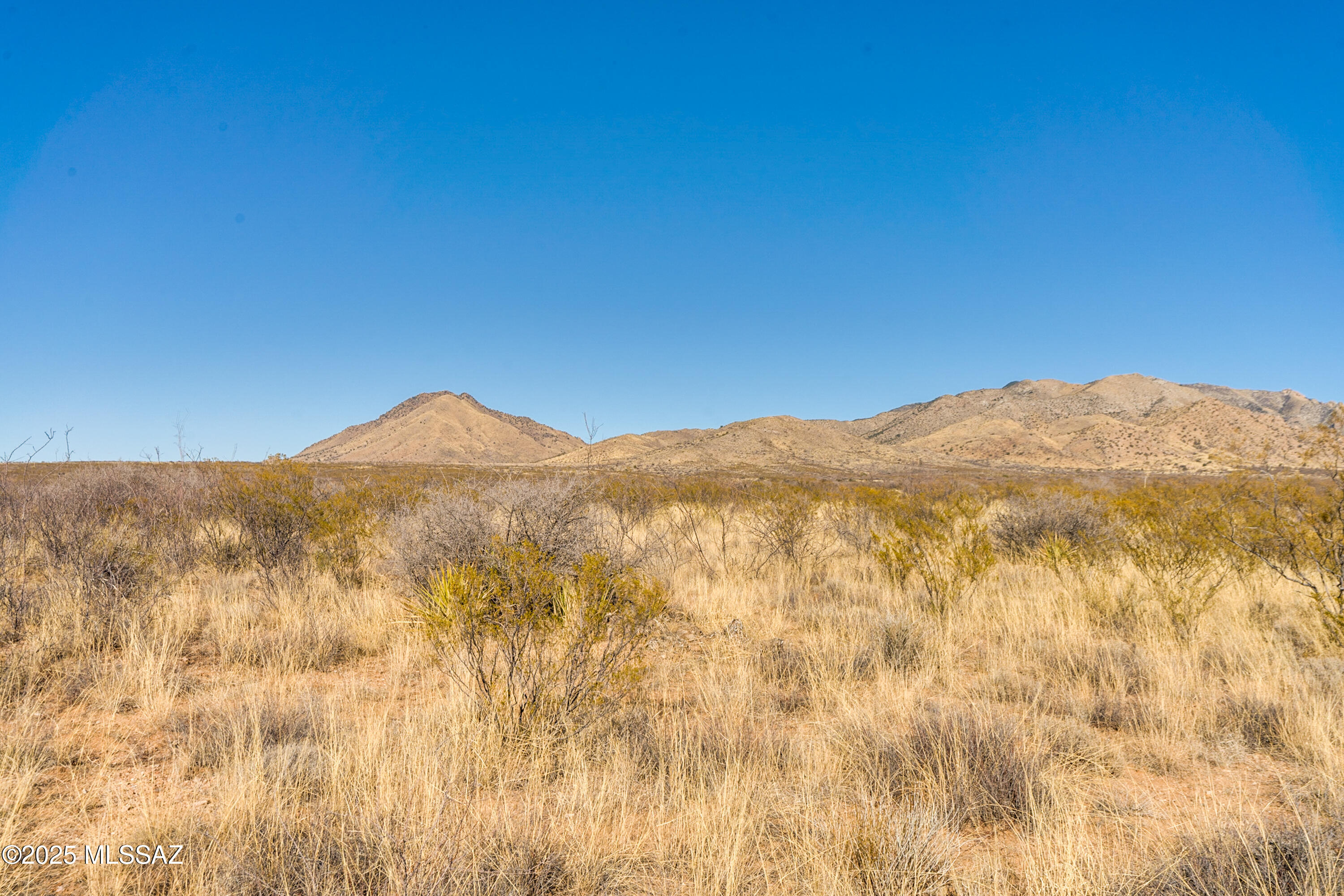 Dragoon Mountain Ranch - Land