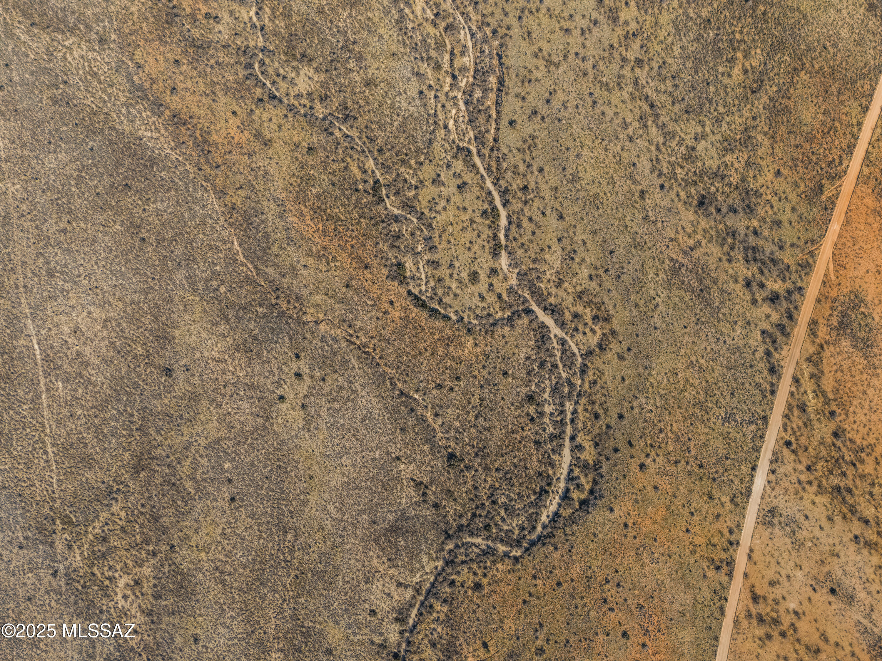 Dragoon Mountain Ranch - Land