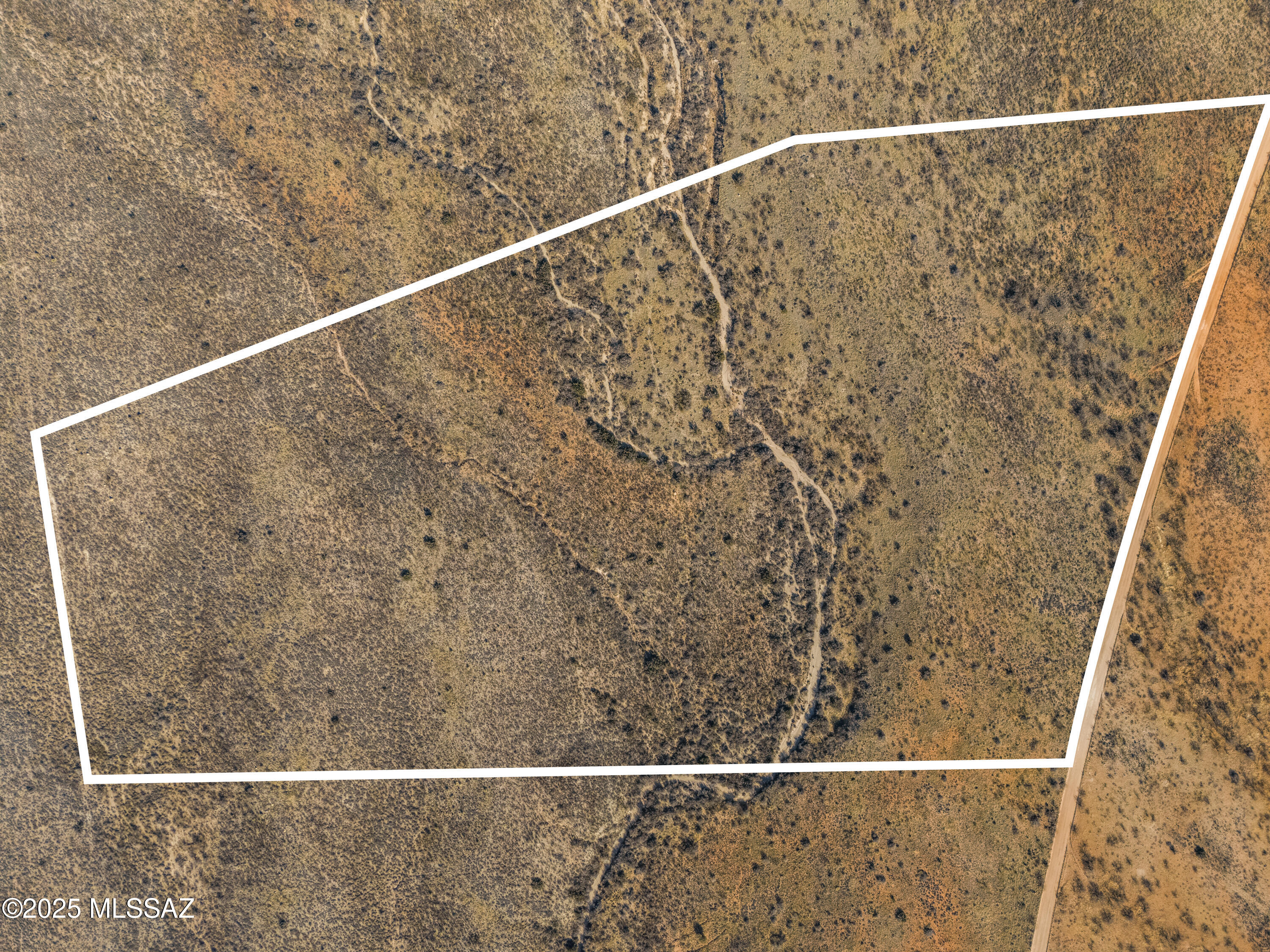 Dragoon Mountain Ranch - Land