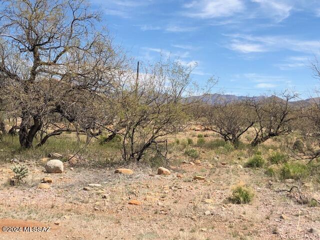 Rio Rico Villas 11 - Land