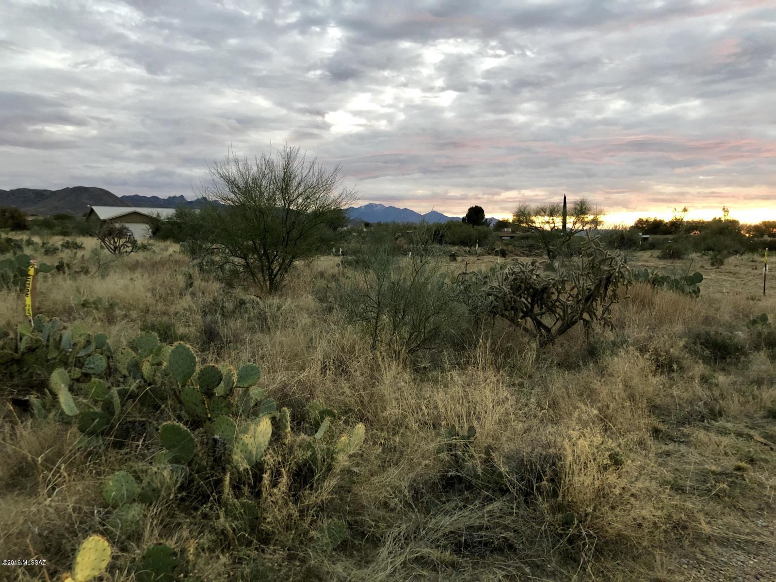 New Tucson Unit NO. 4 (1-203) - Land