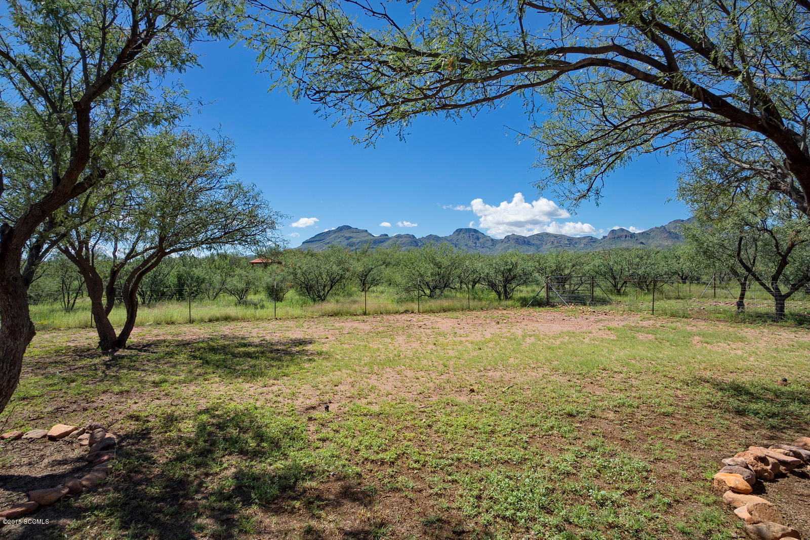Empty Saddle Estates - Residential