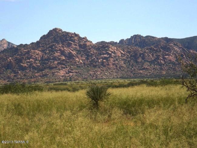 Dragoon Mountain Ranch - Land