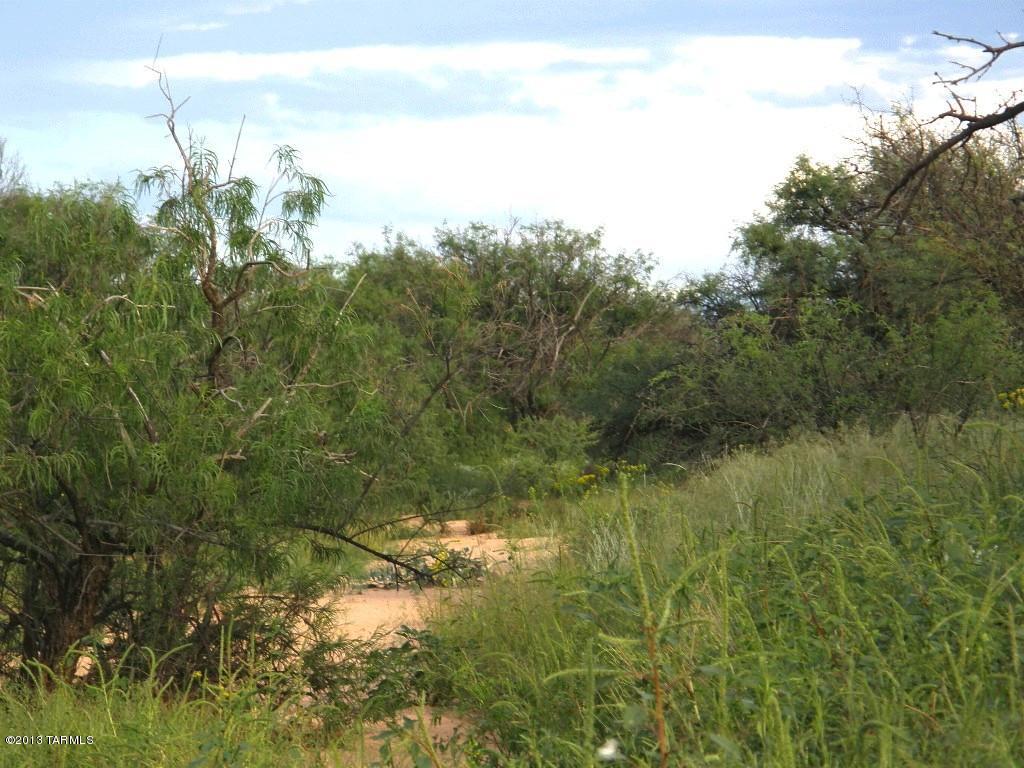 Dragoon Mountain Ranch - Land