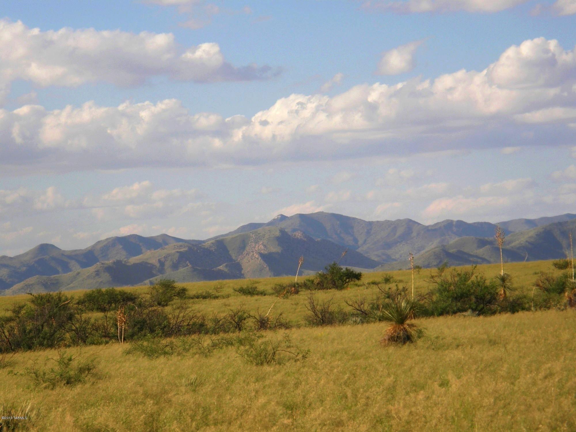 Dragoon Mountain Ranch - Land