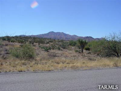 Affordable, 1 acre site in award winning, Vail School District. Enjoy Catalina Mountain views from your north facing backyard. Bring in fill dirt to raise the elevation similar to neighboring homes. Will enhance views in all directions. Desirable North/South orientation. Easy access to I-10 and all of Tucson. Paved street and electric, water and phone services the lot. Great neighborhood to build vour $300,00+ custom home. A bargain in today's market. Ask about excellent lot loan financing from local lenders.