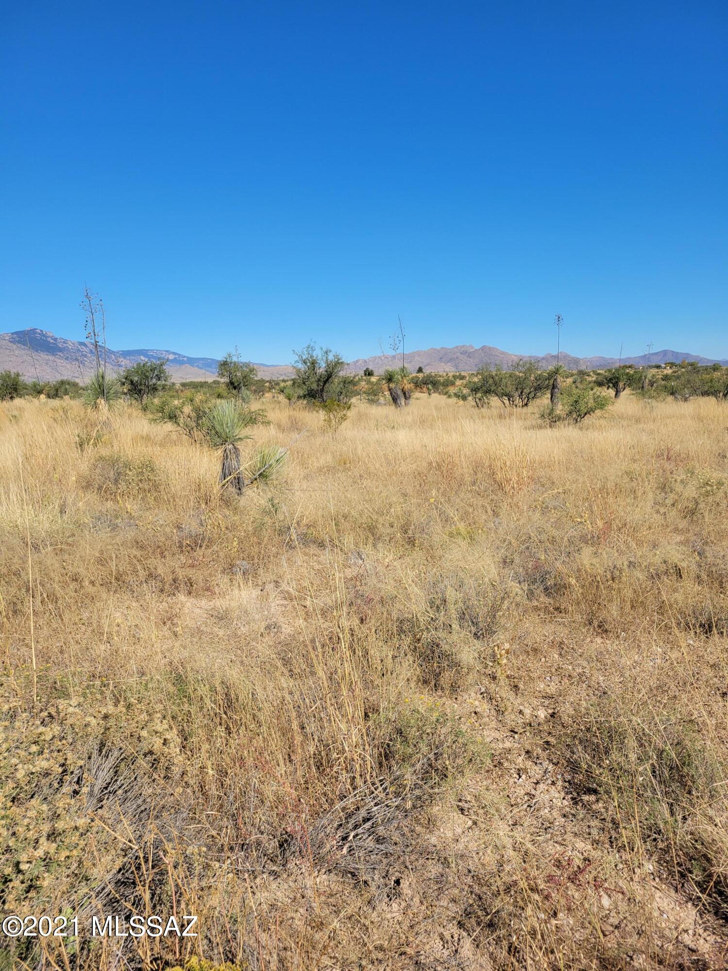 Mescal Lakes - Land