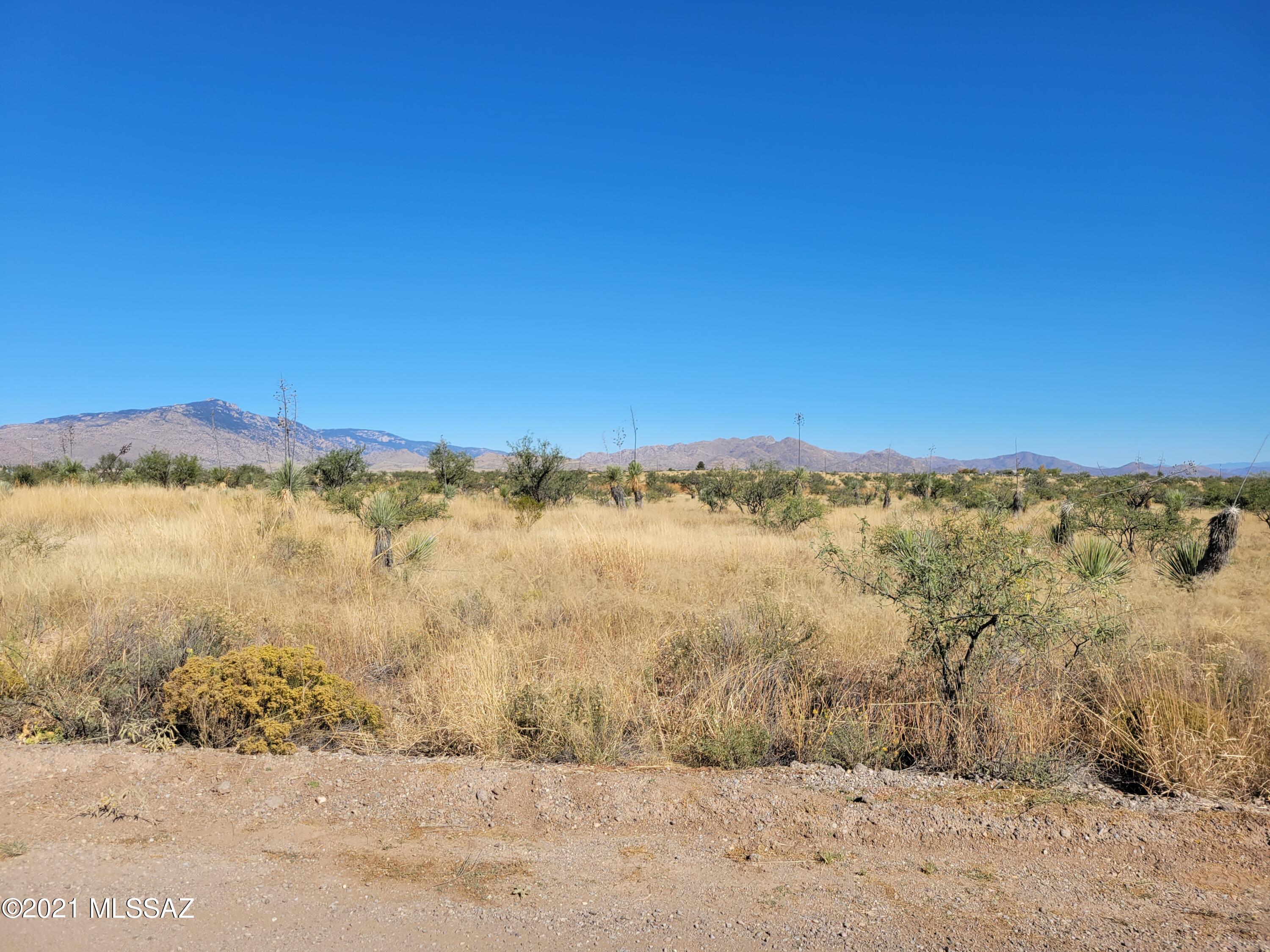 Mescal Lakes - Land