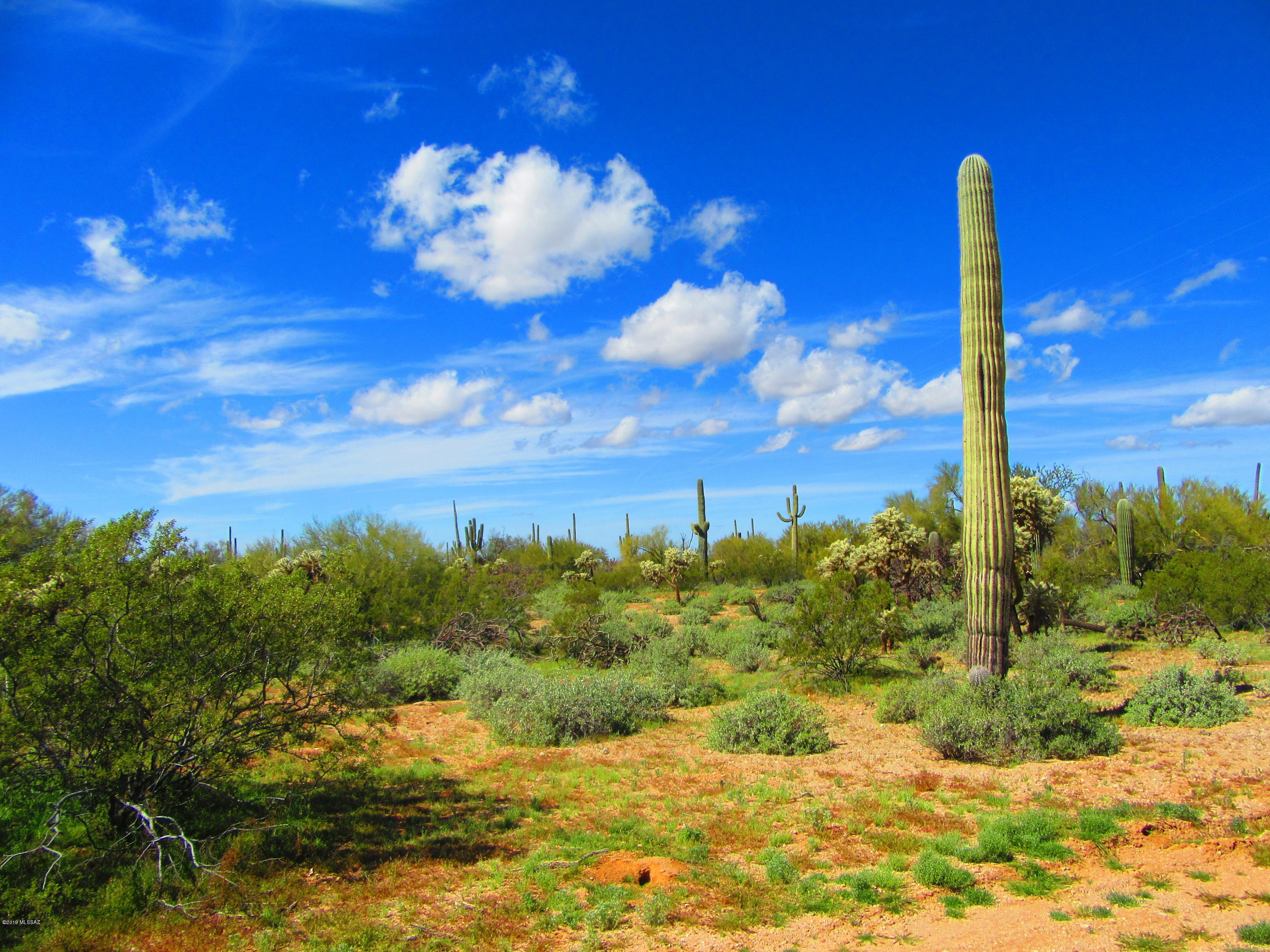 Paved road, electric/telephone to lot line, capped water well on 20 acres of beautiful lush Sonoran desert! Lots & lots of Saguaros. Hugh Ironwoods, Palo Verde & Mesquite trees! Octotillo, Staghorn & barrel cactus on this flat, very usable, acreage. Views to the Tortolita Mountains, Picacho Peak, Ragged Peak, Tucson & Silverbell mountains.  Adjacent to Federal land on the west. 15 minutes from the Marana Exit 236 at Interstate 10