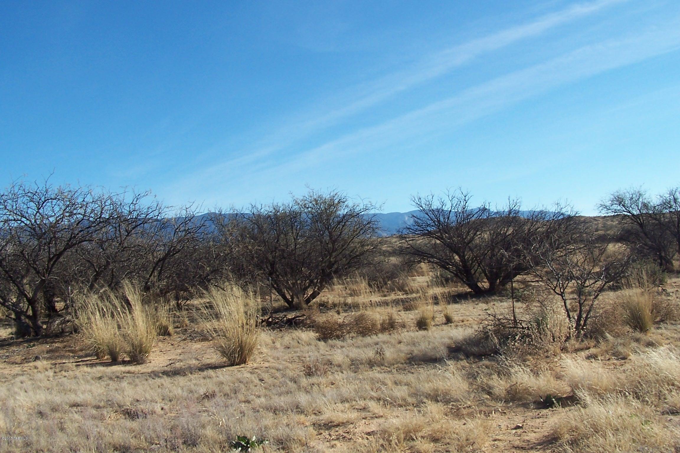 Out Of Pima County - Land