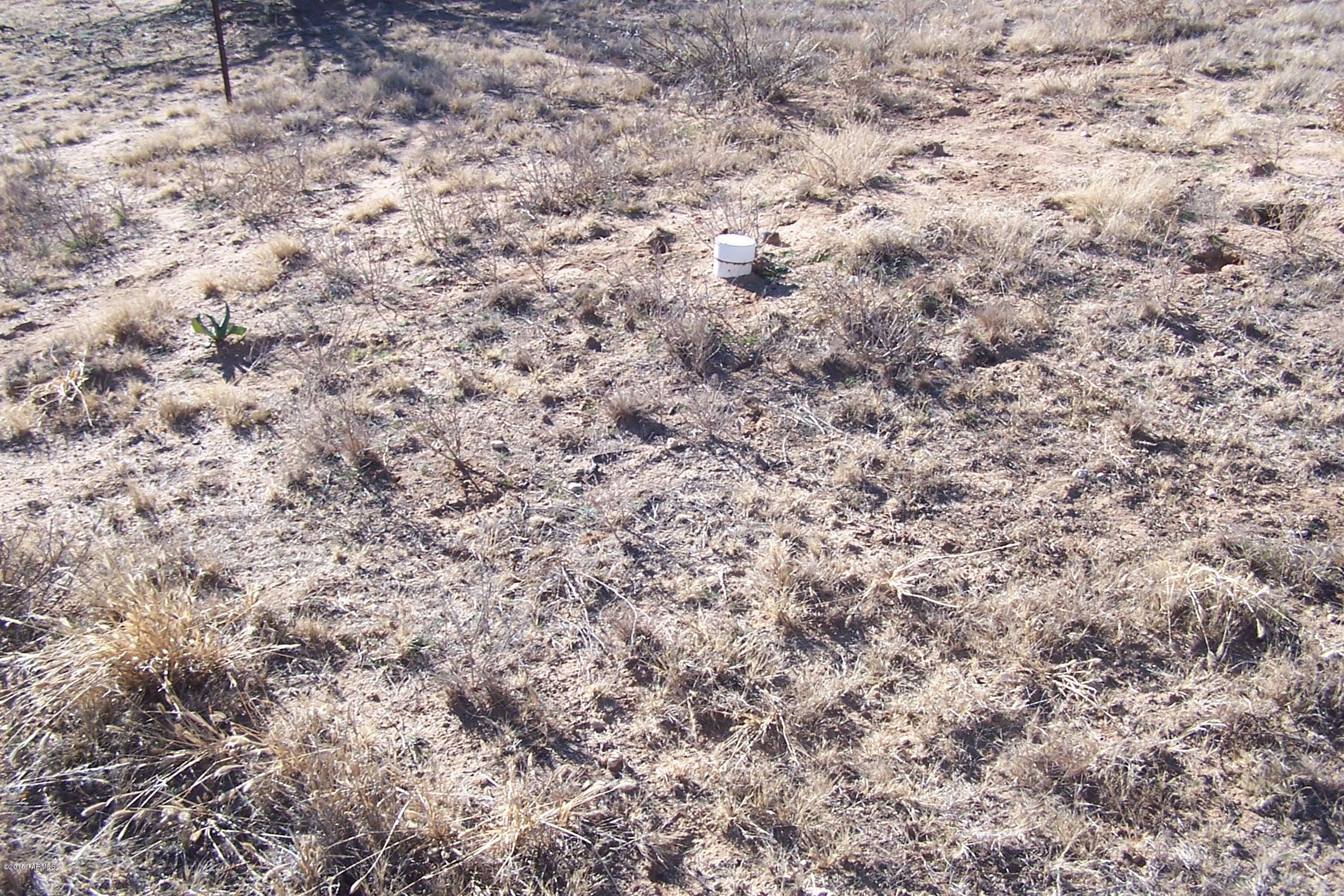 Out Of Pima County - Land