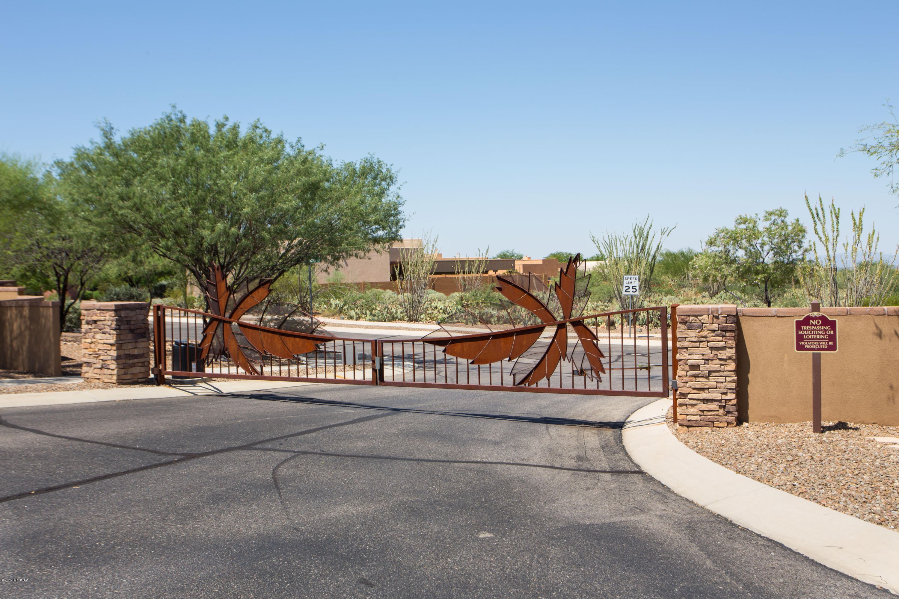 Who said you can't have it all!! Gated Community, Pepper Viner Home, Vail School District!!! All in one.. Pepper Viner Home located in the a wonderful gated community  in Sycamore Canyon.  This property is on a .24 acres of land with amazing views. The house also faces one of the common desert areas so you can  enjoy Arizona Sunsets. This 4 bedroom features open concept and large bedrooms. Energy Efficient Appliances, Updated HVAC, LED Lighting throughout the house and Solar with electric bill less than $200 a month. There is something for everyone.  Community Features  include a community pool, park and walking paths.