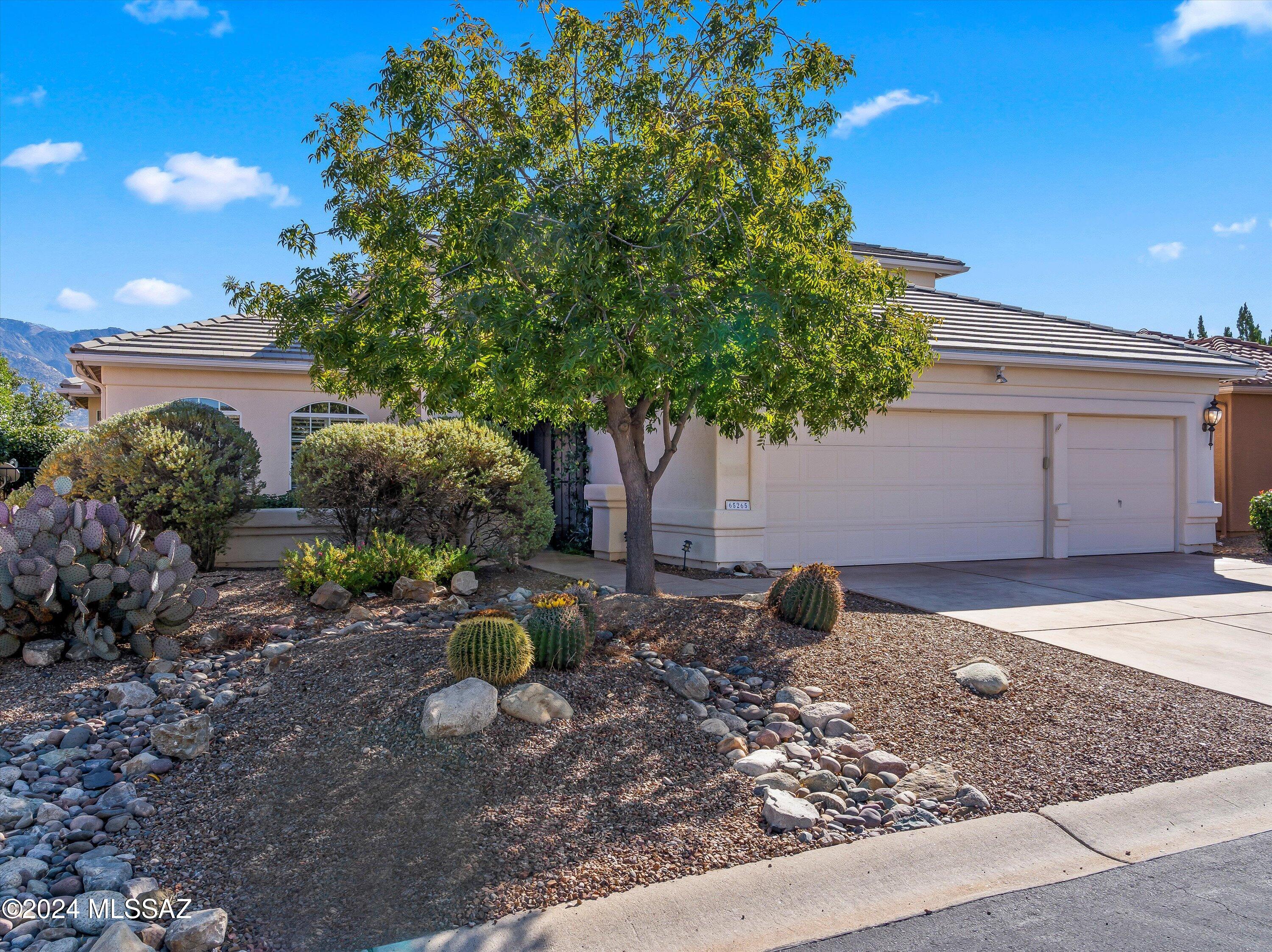 Saddlebrooke - Residential