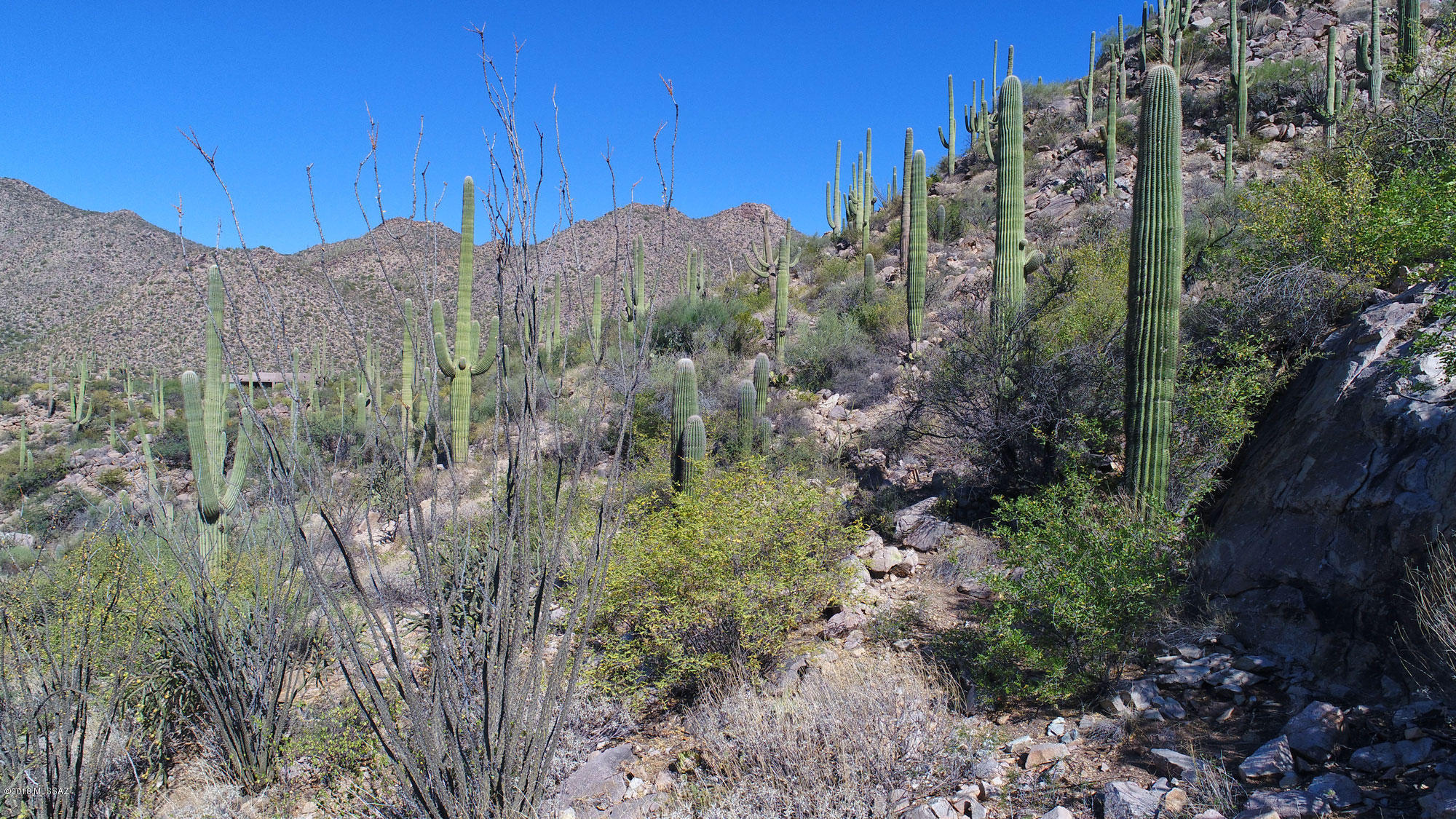 Canyon Pass V At Dove Mountain (280-331) - Land