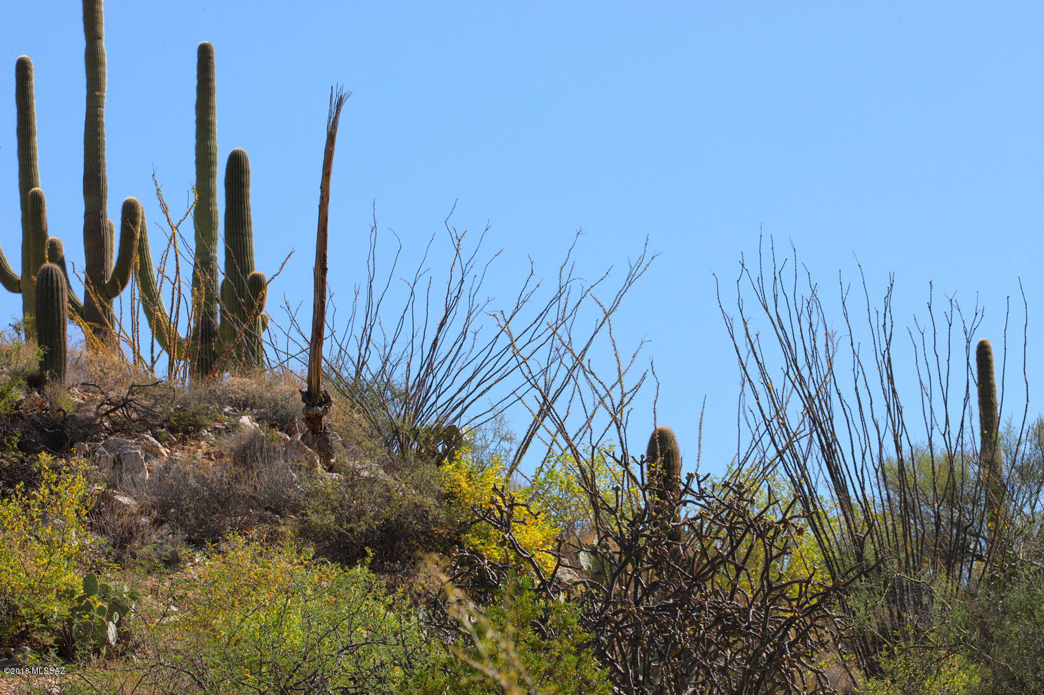 Canyon Pass V At Dove Mountain (280-331) - Land