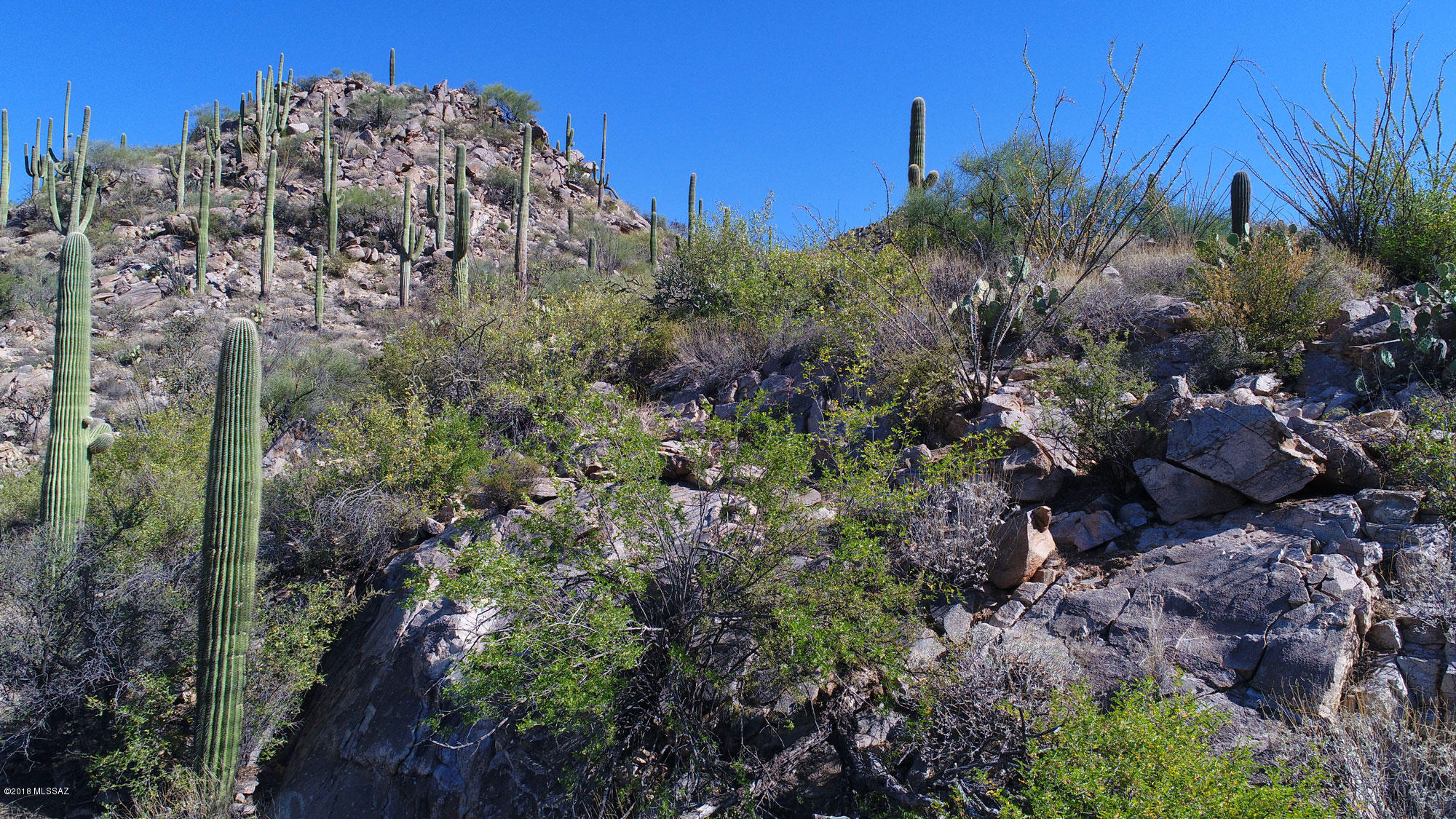 Canyon Pass V At Dove Mountain (280-331) - Land