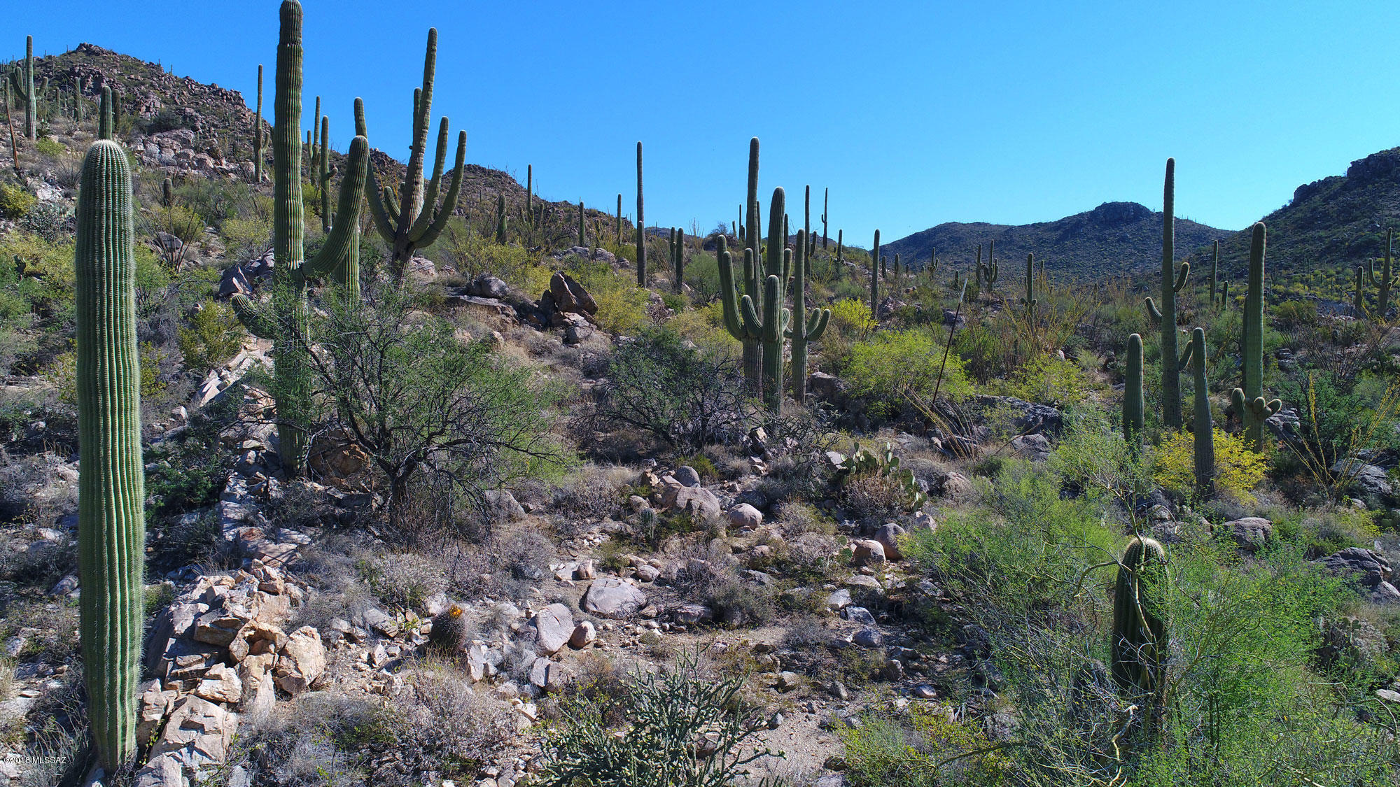 Canyon Pass V At Dove Mountain (280-331) - Land