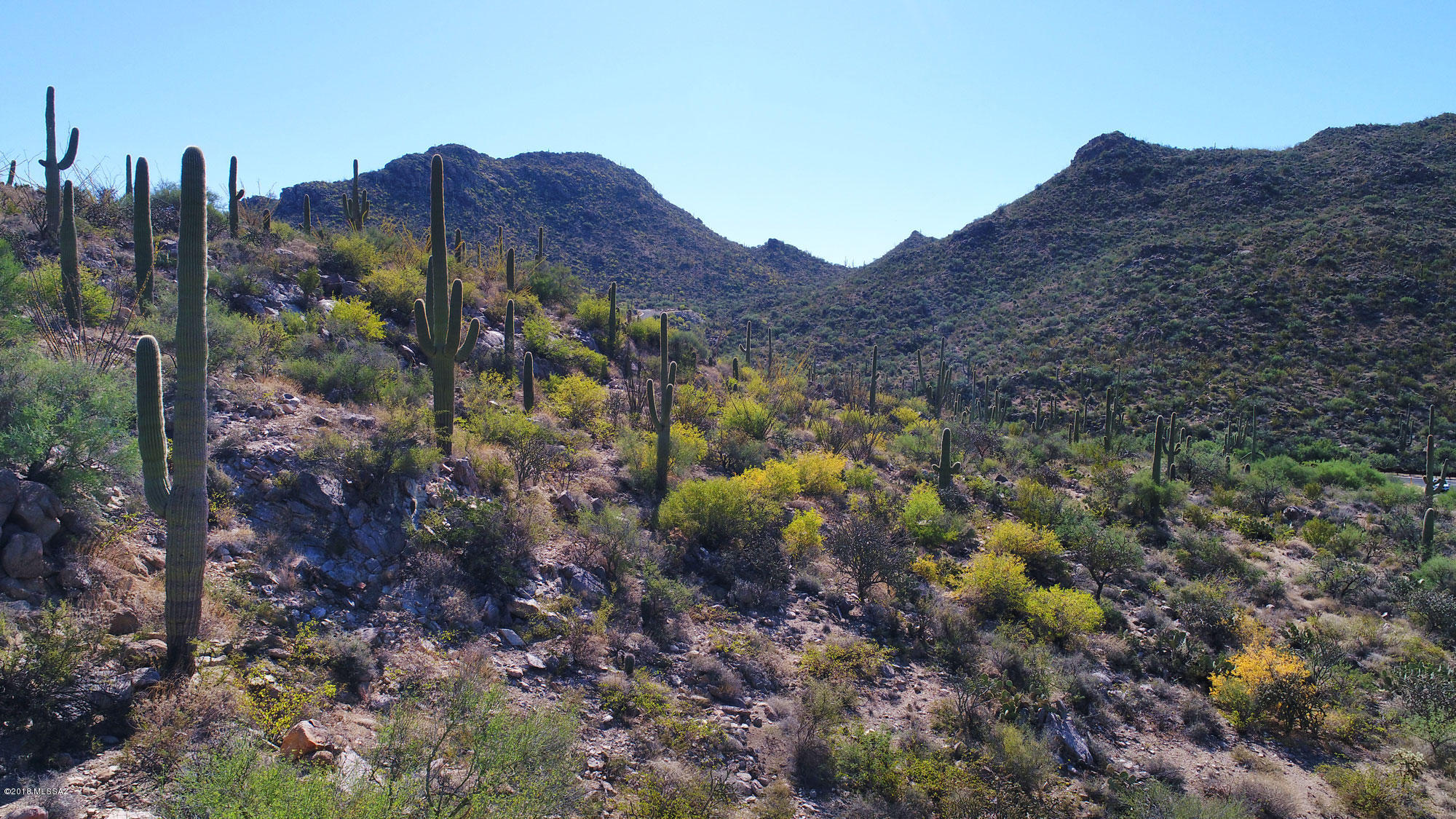 Canyon Pass V At Dove Mountain (280-331) - Land