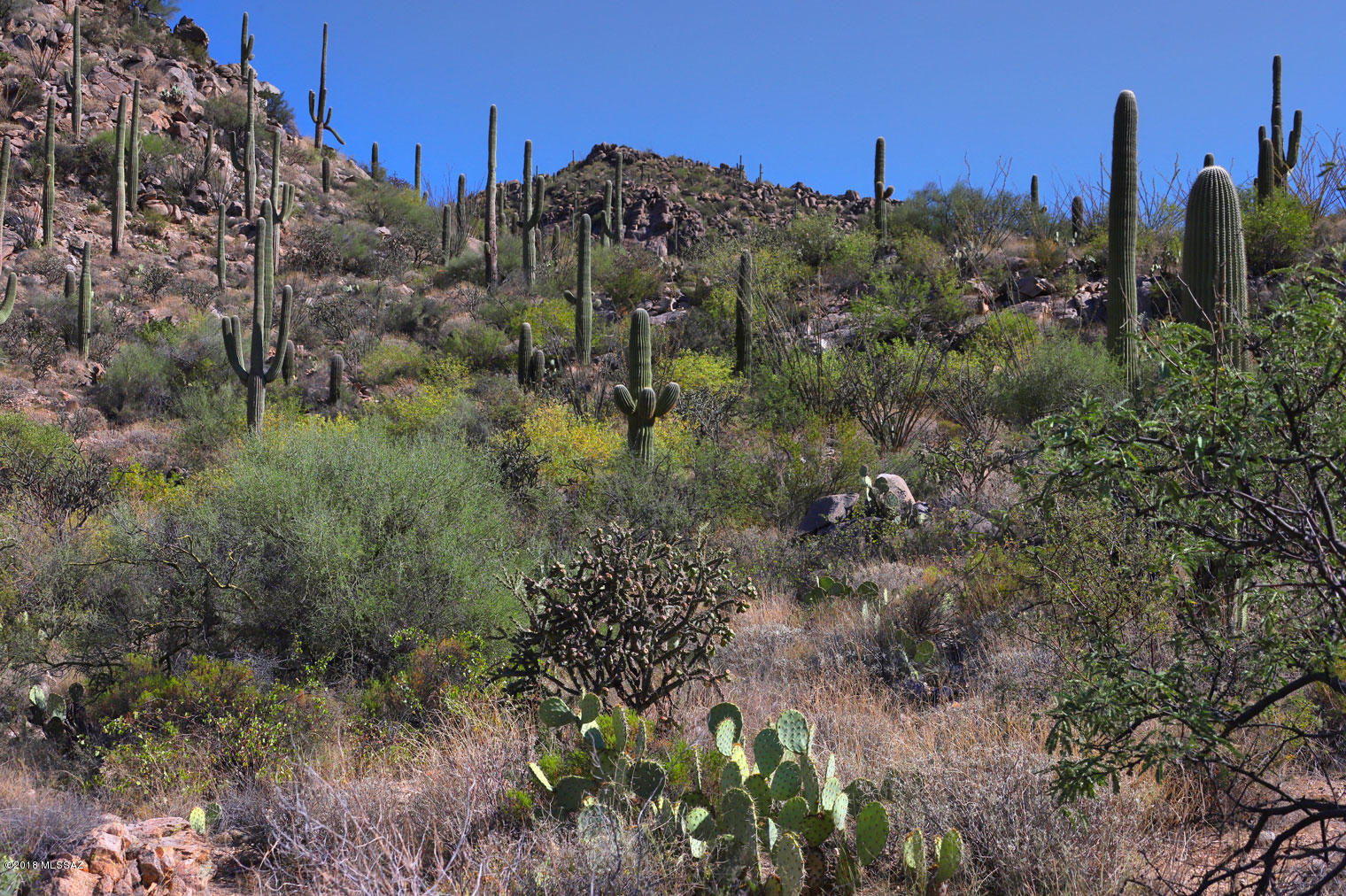 Canyon Pass V At Dove Mountain (280-331) - Land