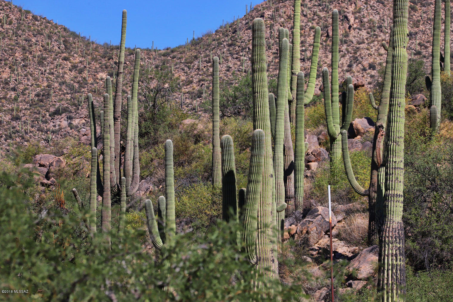 Canyon Pass V At Dove Mountain (280-331) - Land