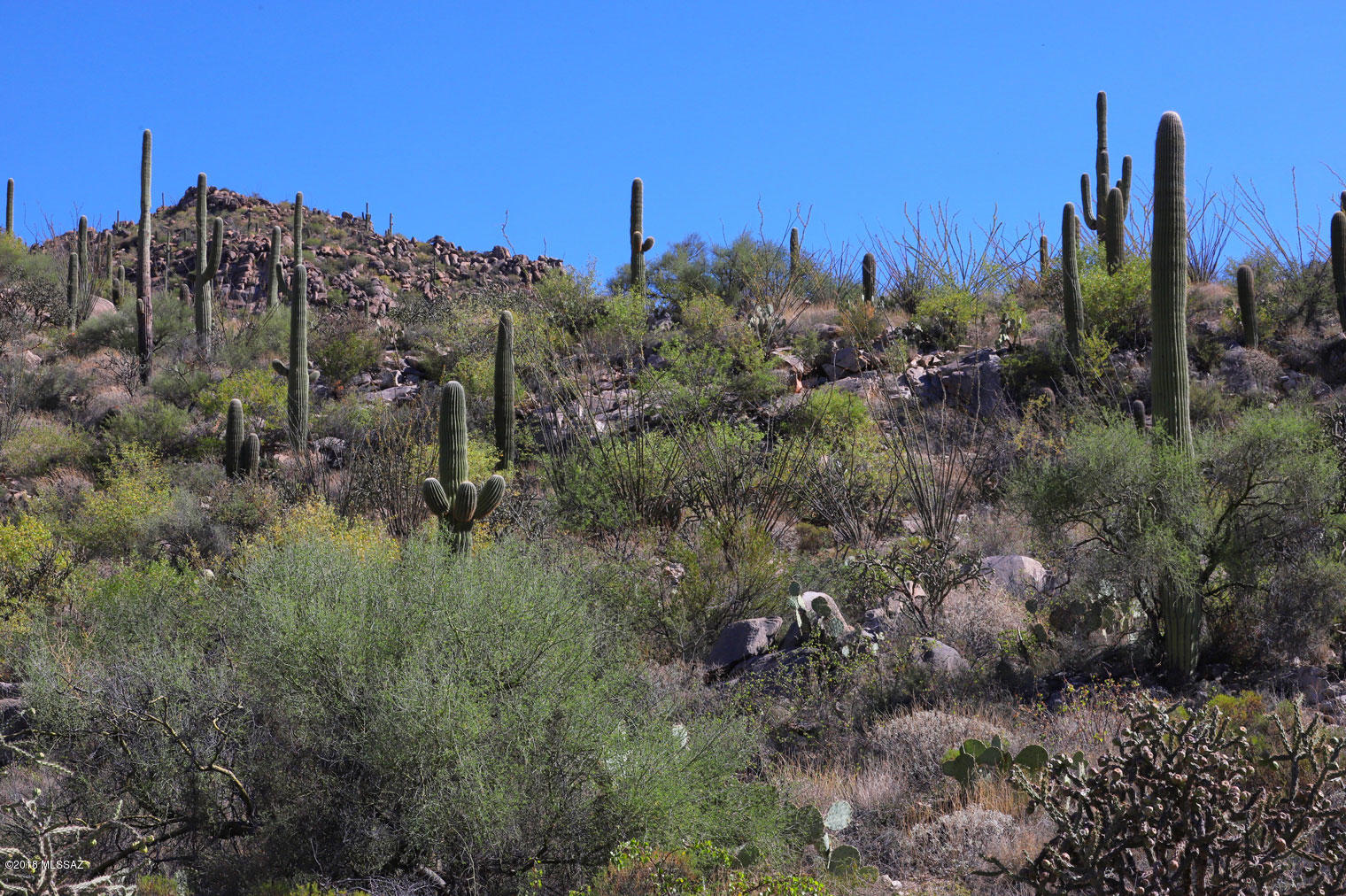 Canyon Pass V At Dove Mountain (280-331) - Land