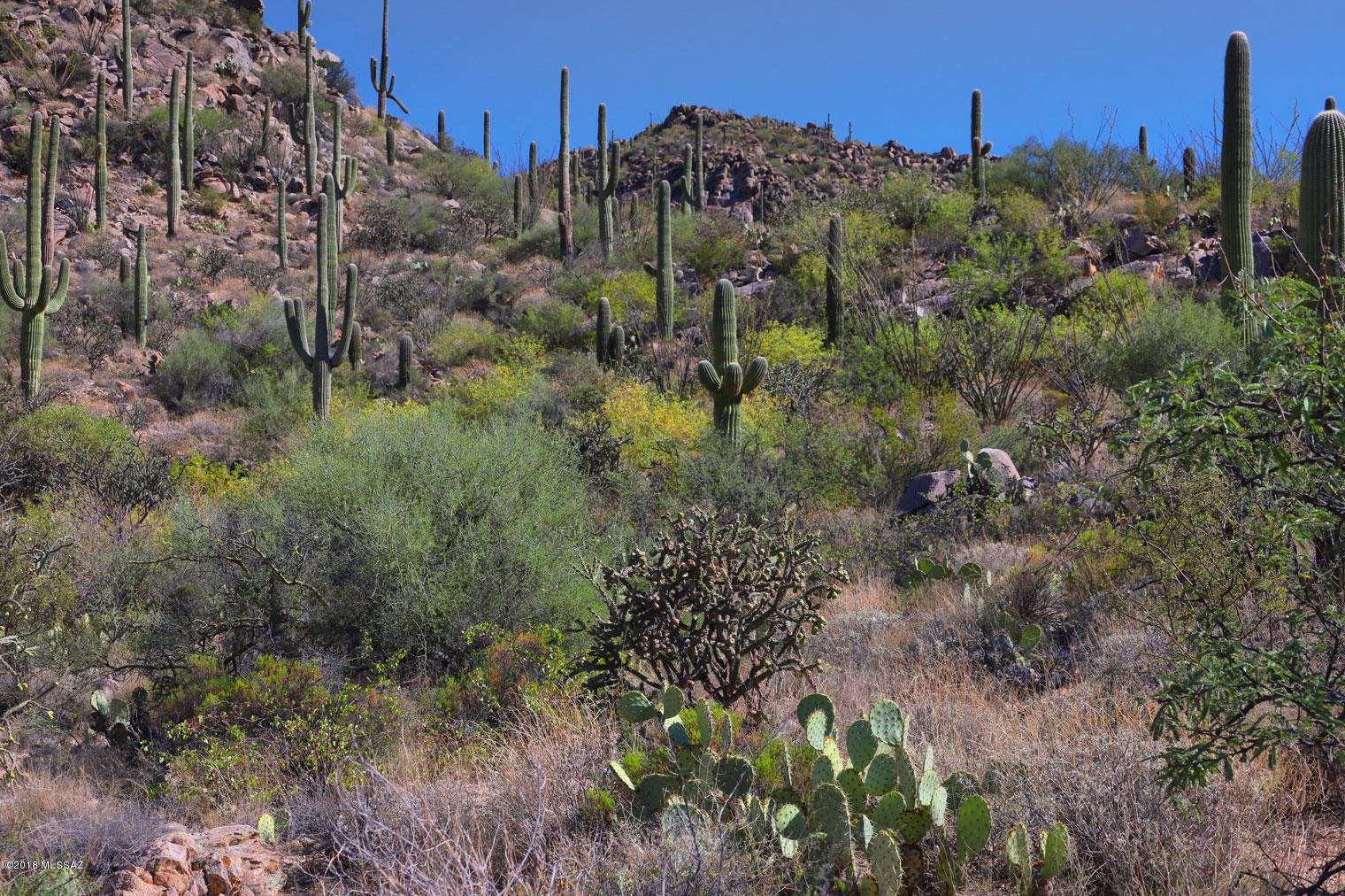 Canyon Pass V At Dove Mountain (280-331) - Land