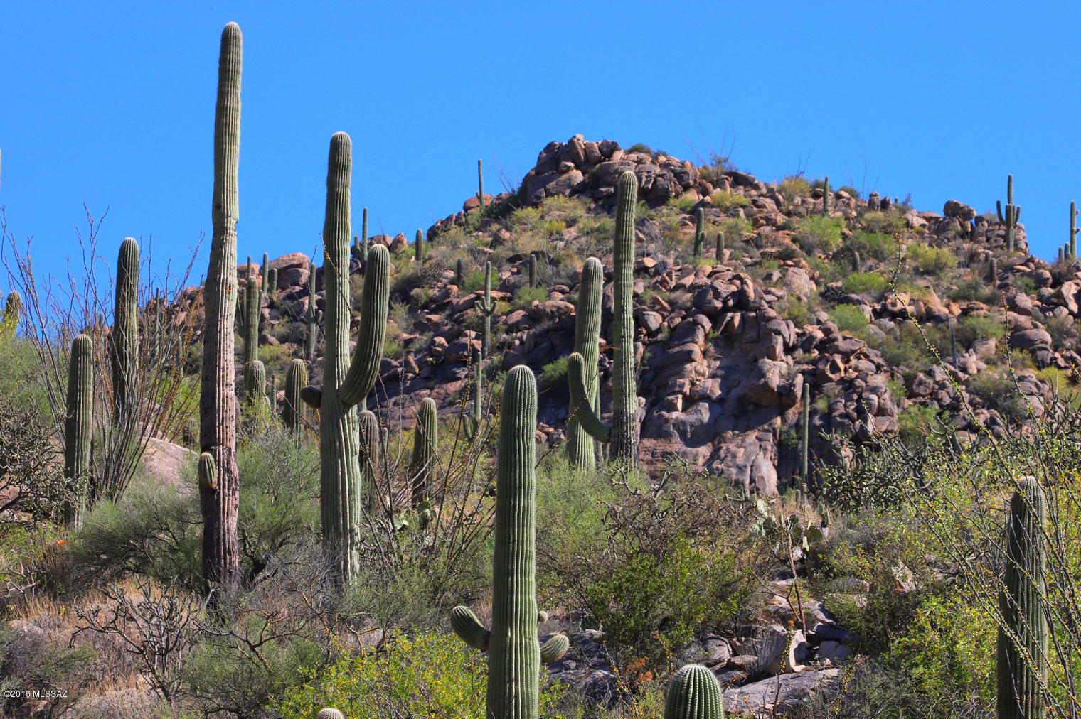 Canyon Pass V At Dove Mountain (280-331) - Land