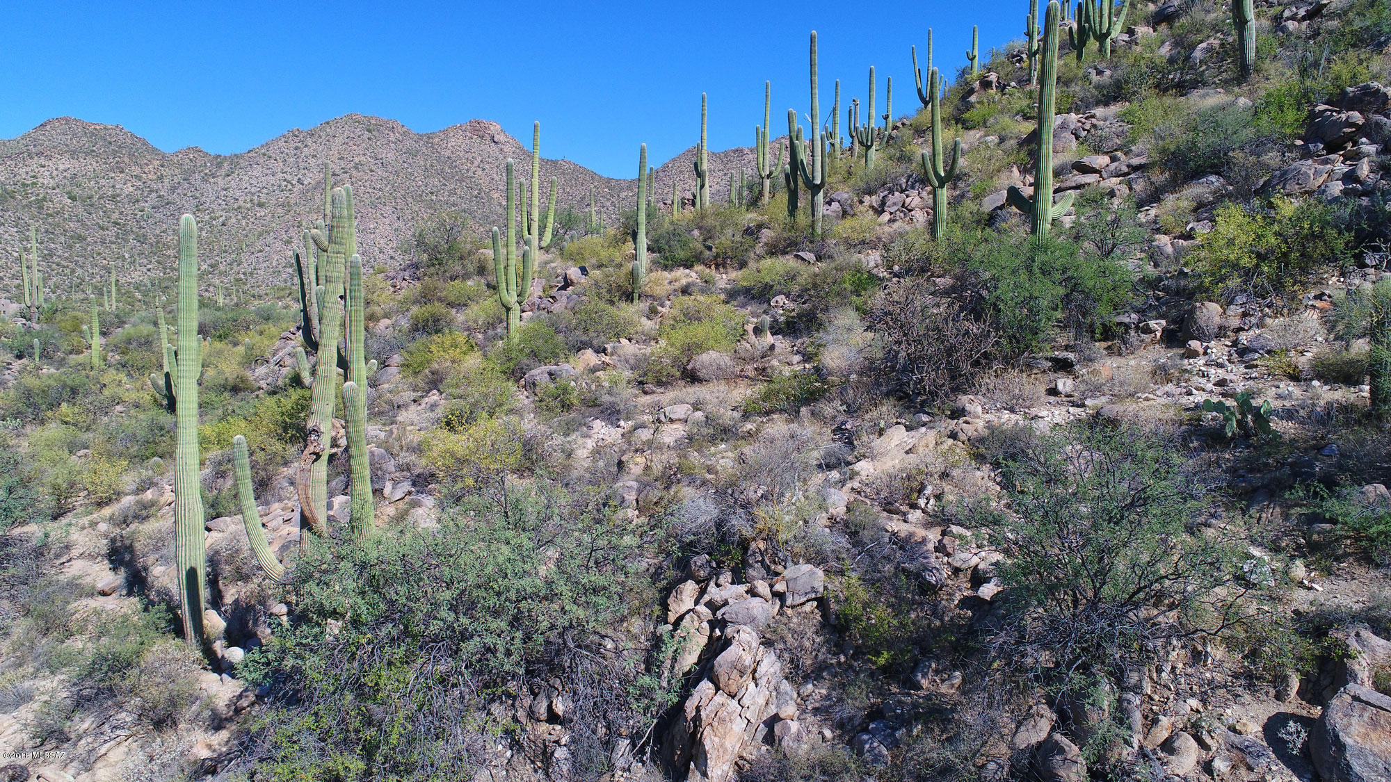 Canyon Pass V At Dove Mountain (280-331) - Land